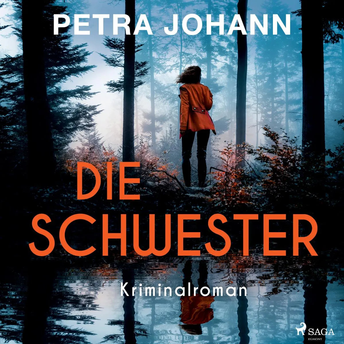 Cover: Die Schwester (Hörbuch Download) von Petra Johann