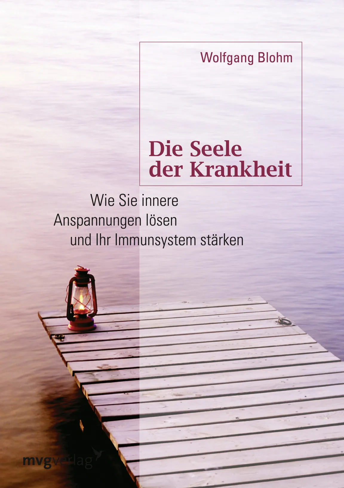 Buchcover von 'Die Seele der Krankheit' - Taschenbuch von Wolfgang Blohm