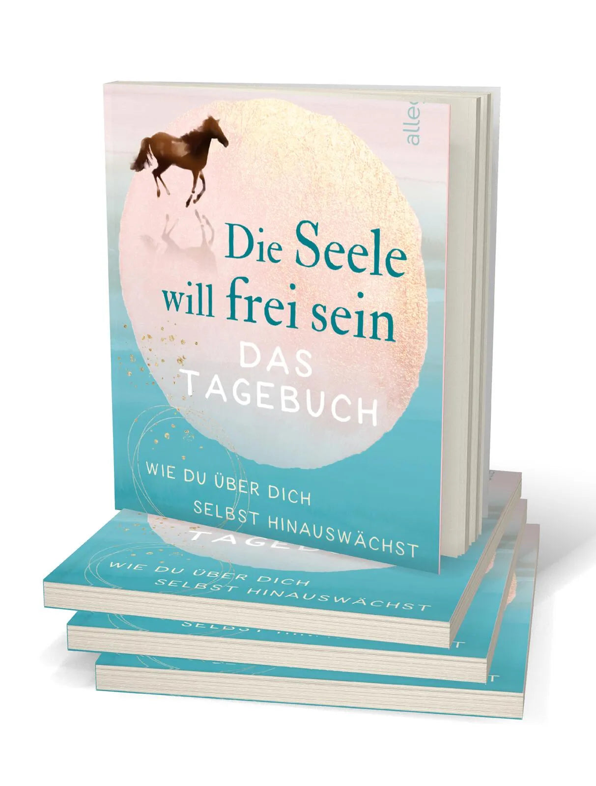 Detailansicht: Die Seele will frei sein – Das Tagebuch (Paperback)