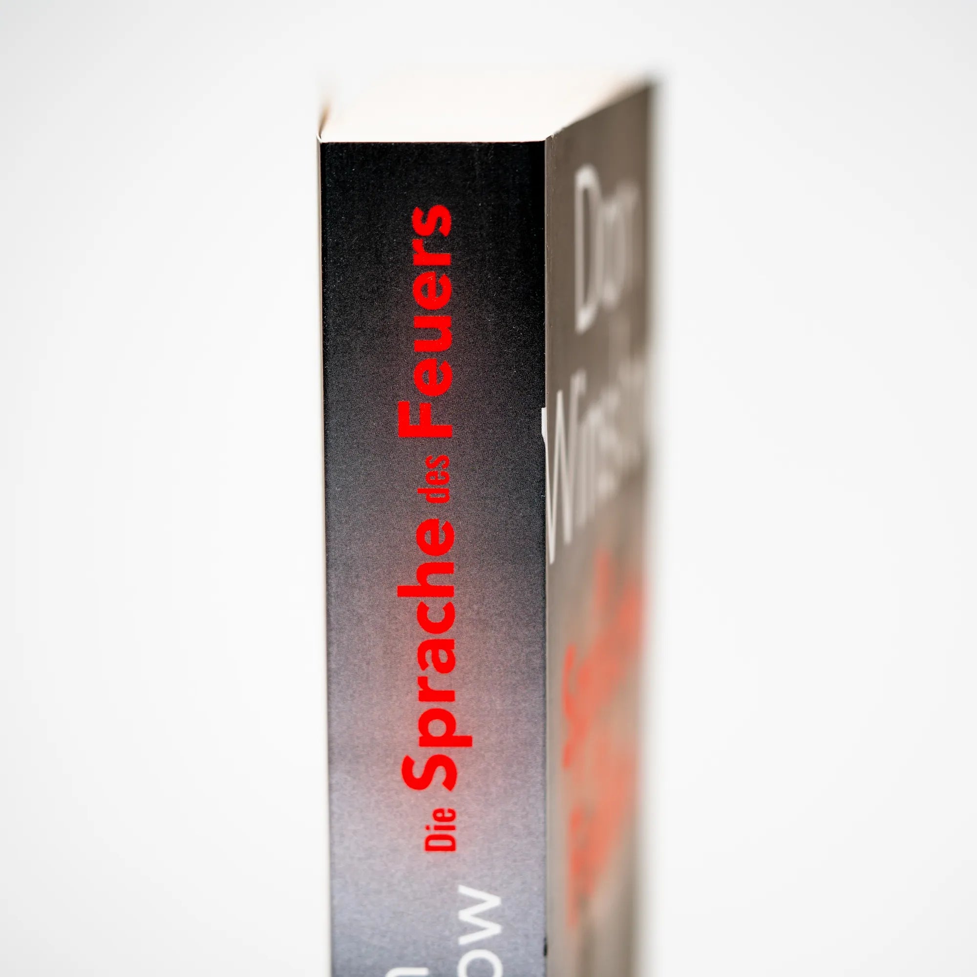 Produktansicht: Die Sprache des Feuers (Taschenbuch)