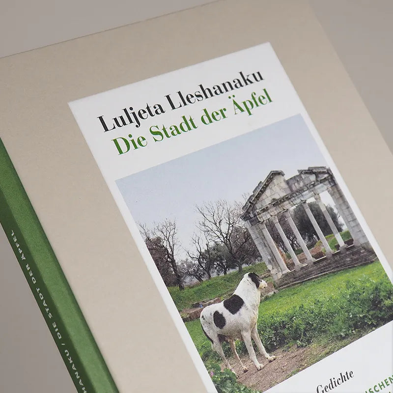 Produktansicht: Die Stadt der Äpfel (Gebundene Ausgabe)