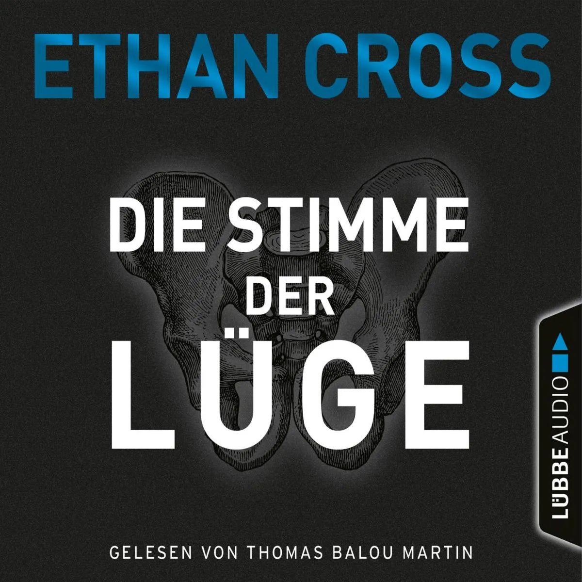Cover: Die Stimme der Lüge (Hörbuch Download) von Ethan Cross