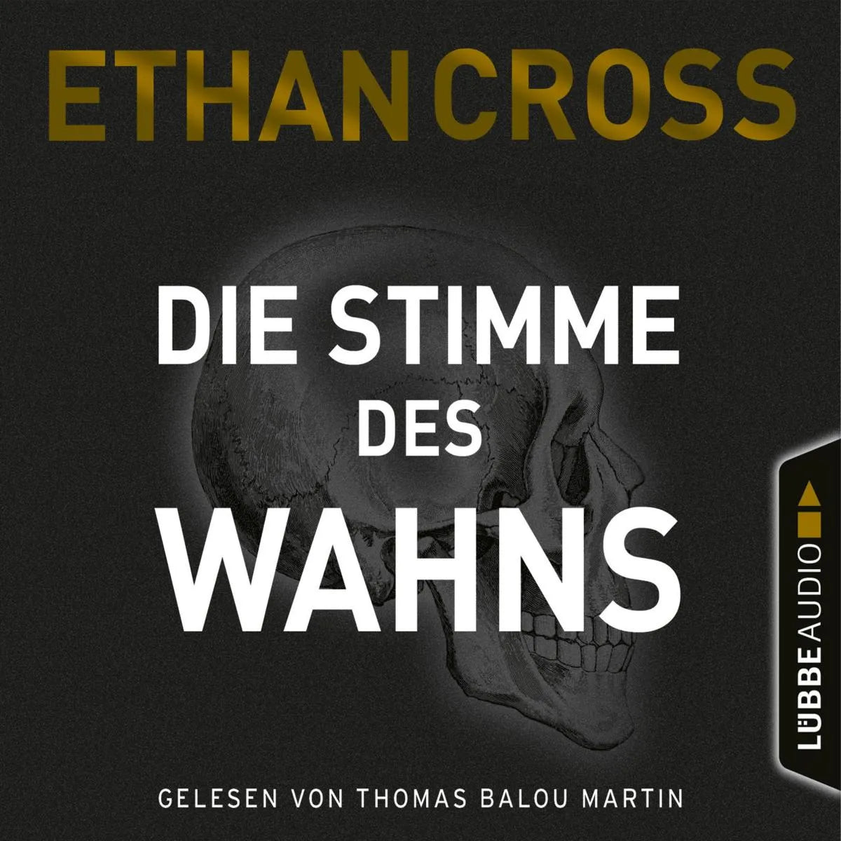 Cover: Die Stimme des Wahns (Hörbuch Download) von Ethan Cross