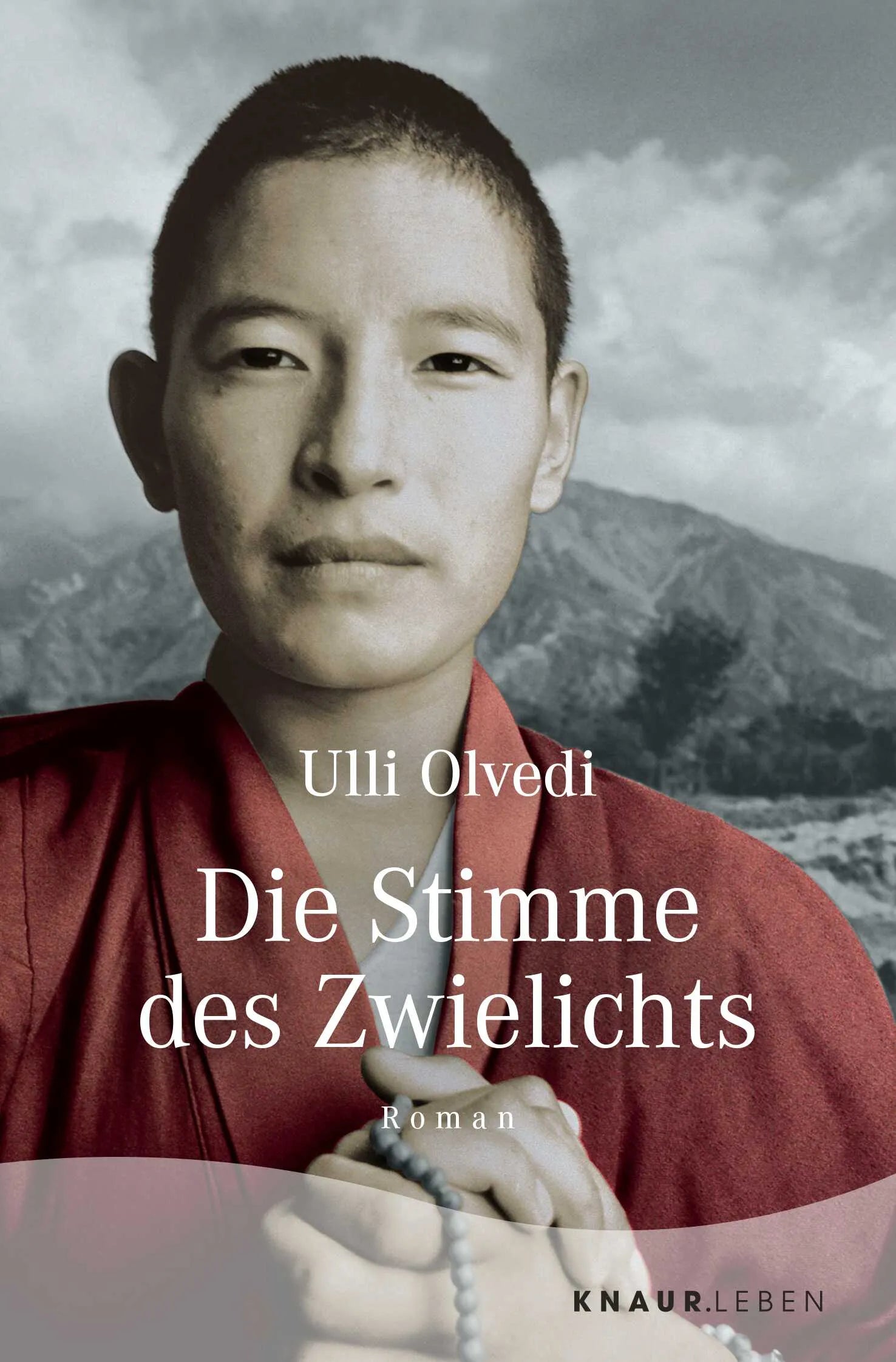 Buchcover von 'Die Stimme des Zwielichts' - Taschenbuch von Ulli Olvedi