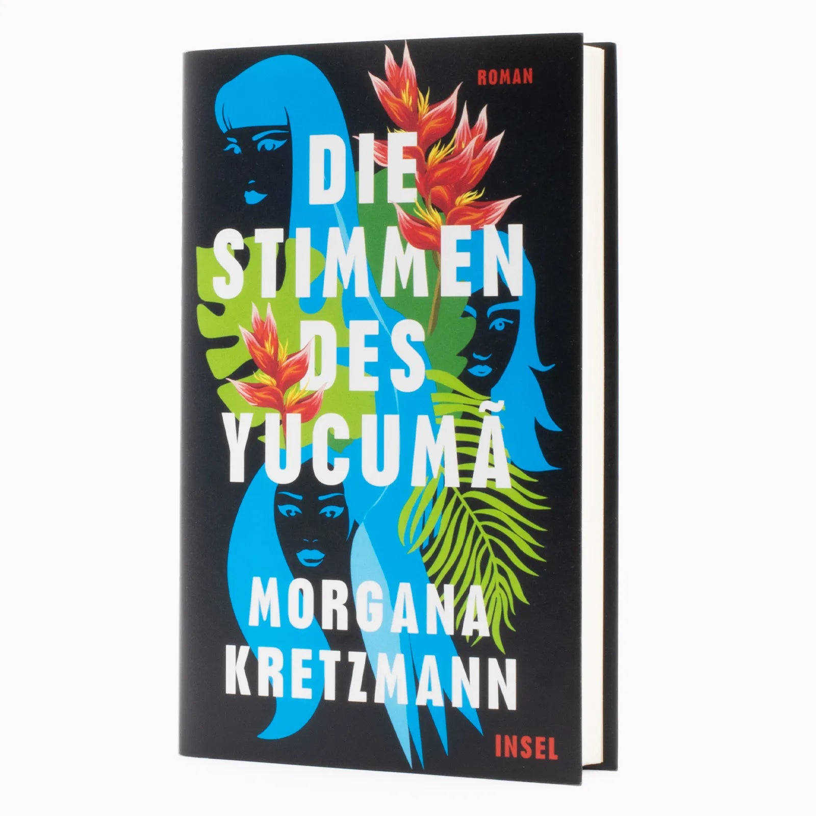 Produktansicht: Die Stimmen des Yucumã (Gebundene Ausgabe)