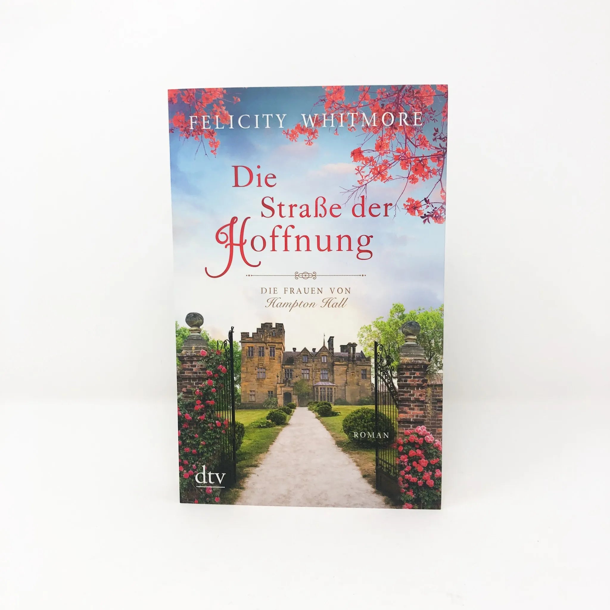 Produktansicht: Die Straße der Hoffnung (Taschenbuch)