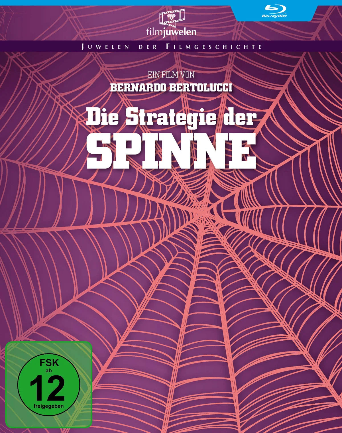 Die Strategie der Spinne - Blu-ray Disc