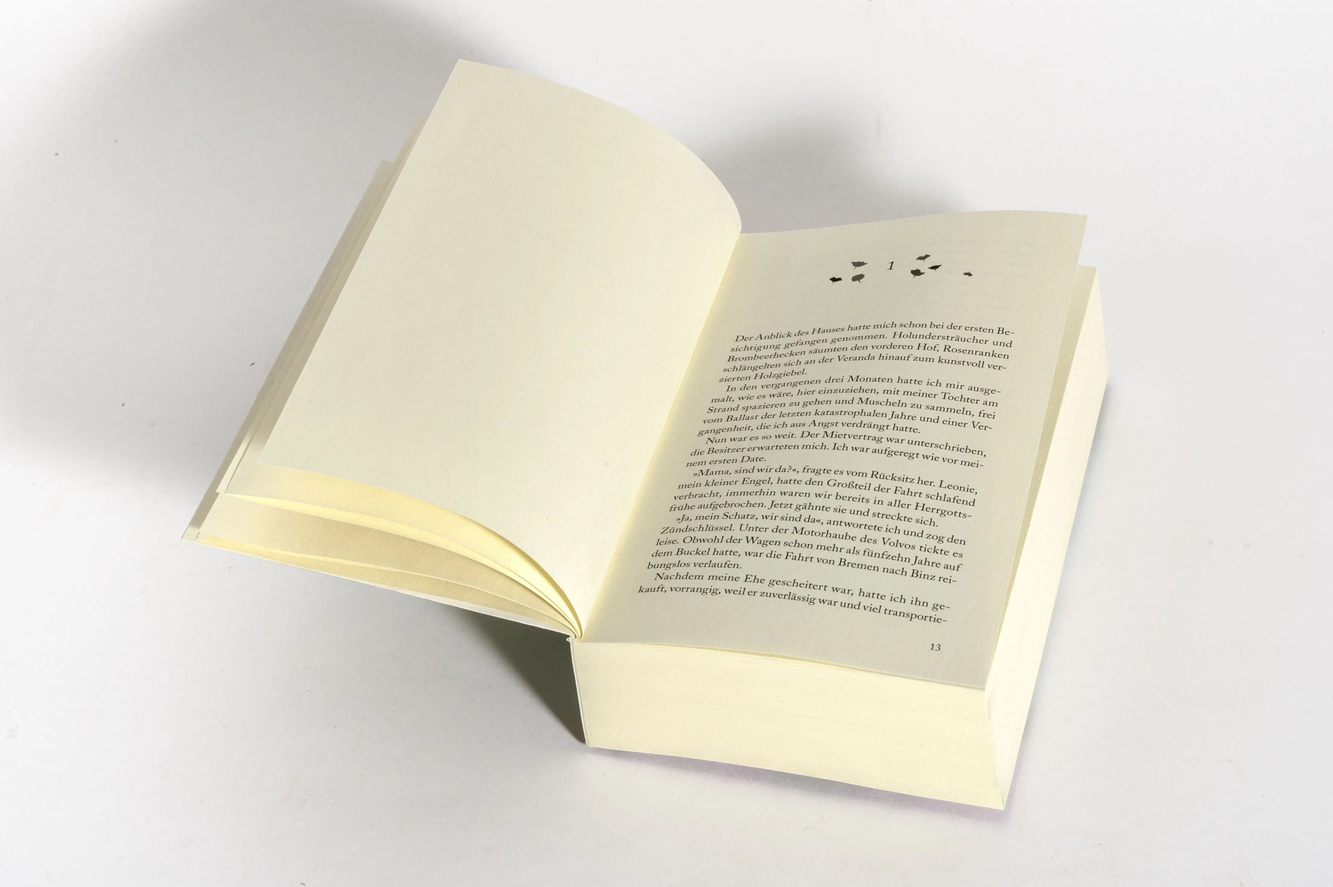 Detailansicht: Die Sturmrose (Taschenbuch)