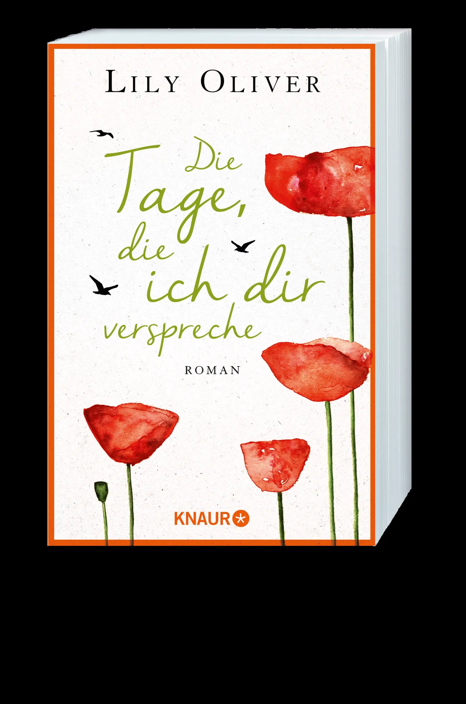 Lily Oliver - Die Tage, die ich dir verspreche