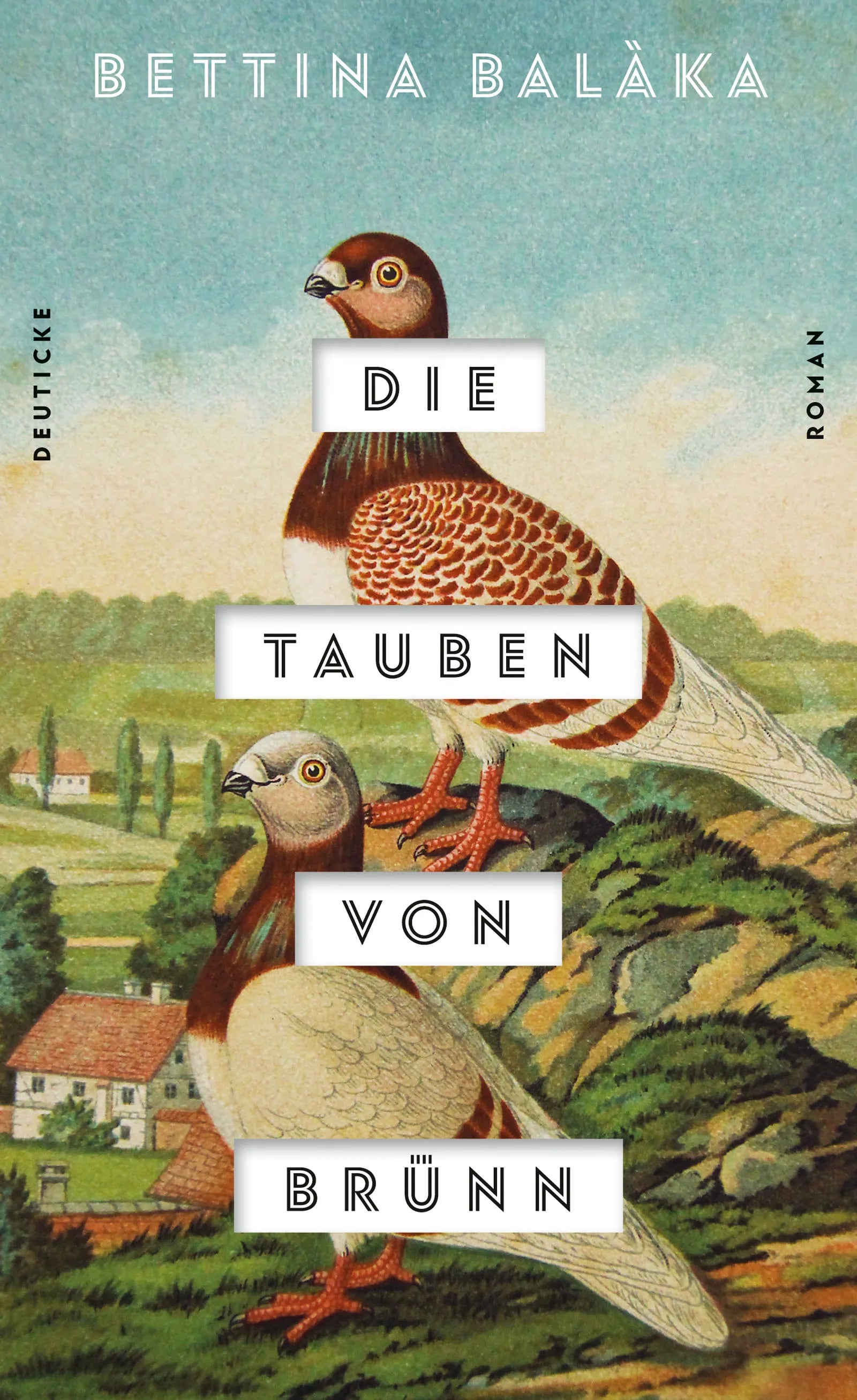 Buchcover von 'Die Tauben von Brünn' - Gebundene Ausgabe von Bettina Balàka