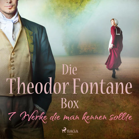 Die Theodor-Fontane-Box - 7 Werke die man kennen sollte
