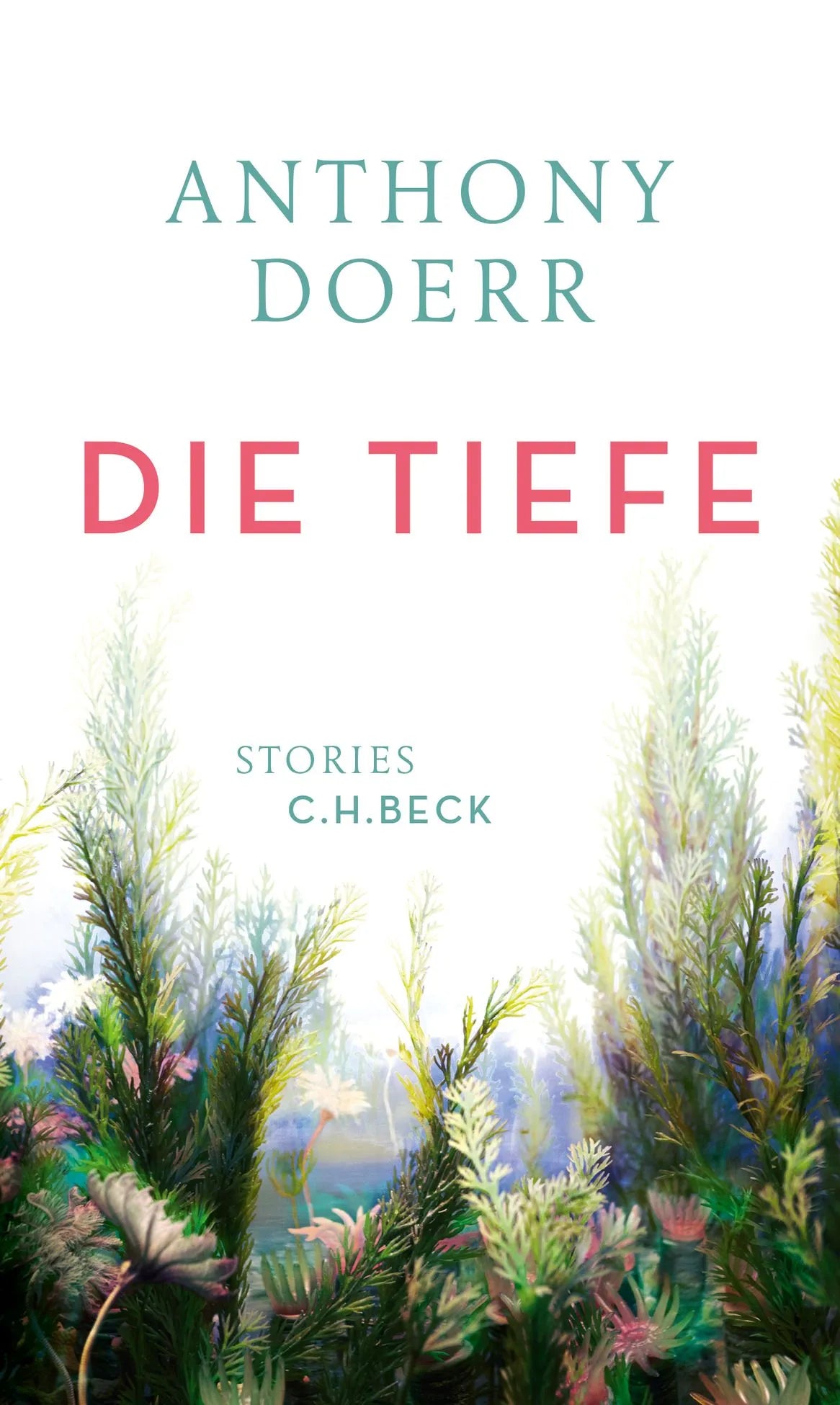 Buchcover von 'Die Tiefe' - Gebundene Ausgabe von Anthony Doerr