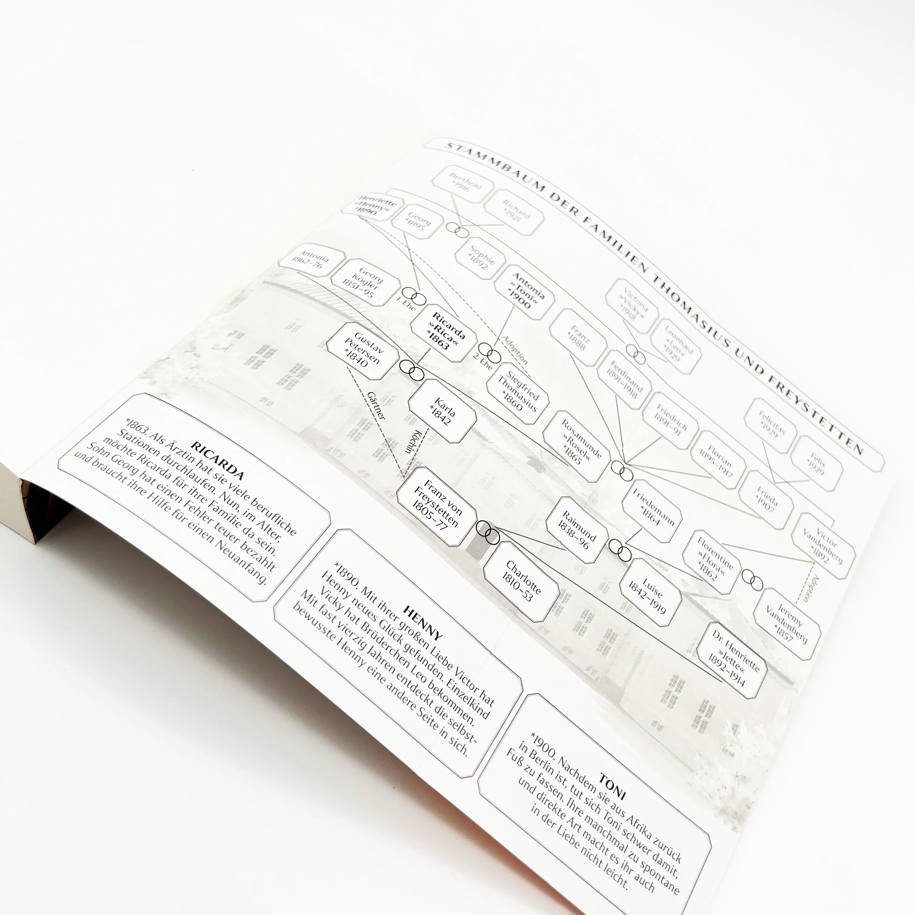 Produktansicht: Die Töchter der Ärztin (Taschenbuch)