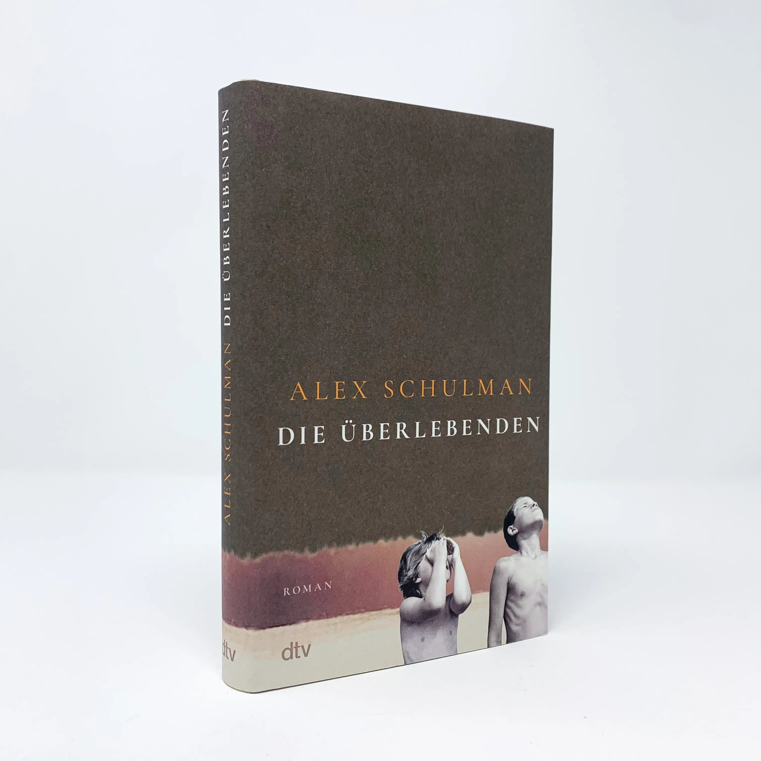 Alex Schulman - Die Überlebenden