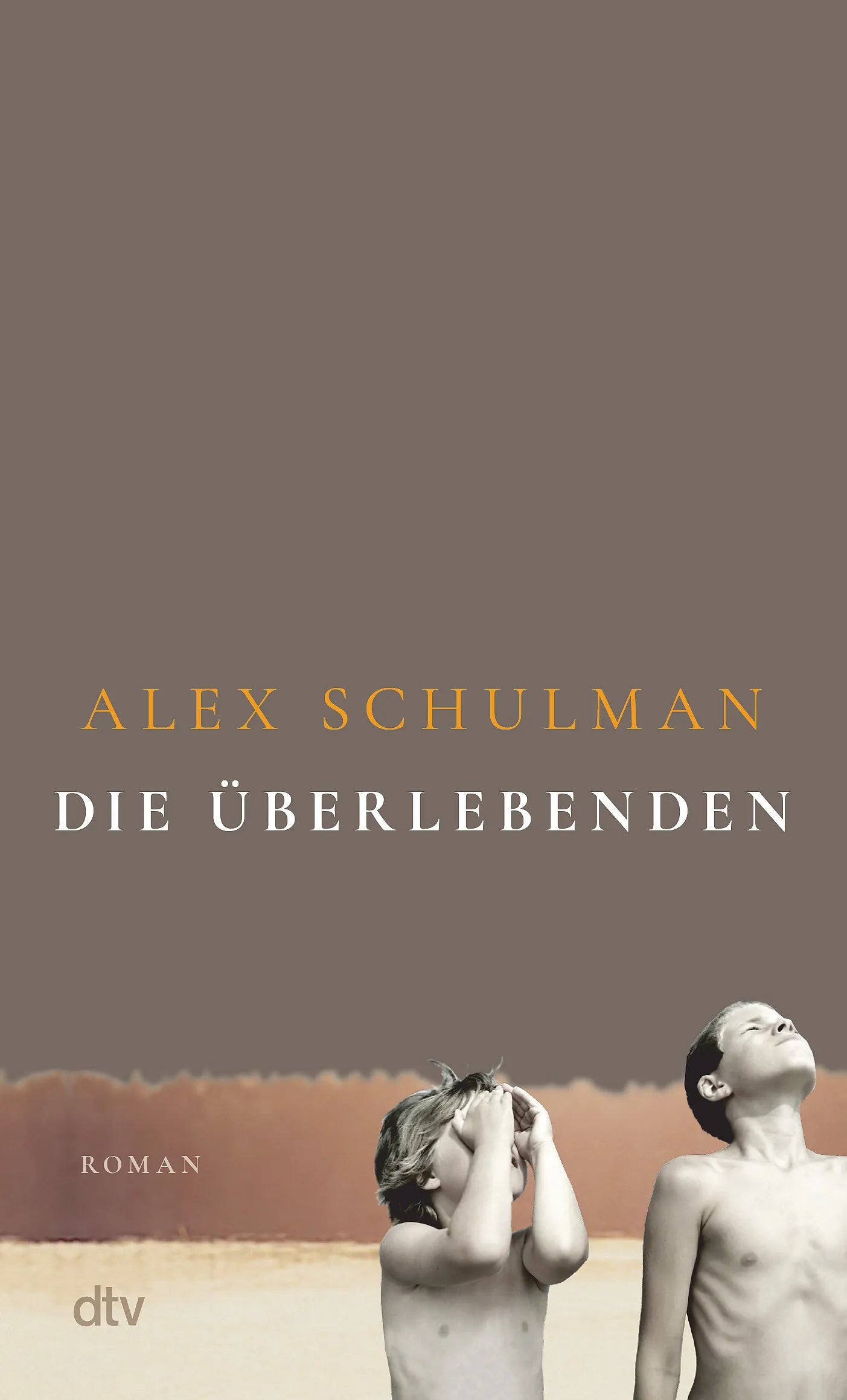 Cover: Die Überlebenden (Taschenbuch) von Alex Schulman