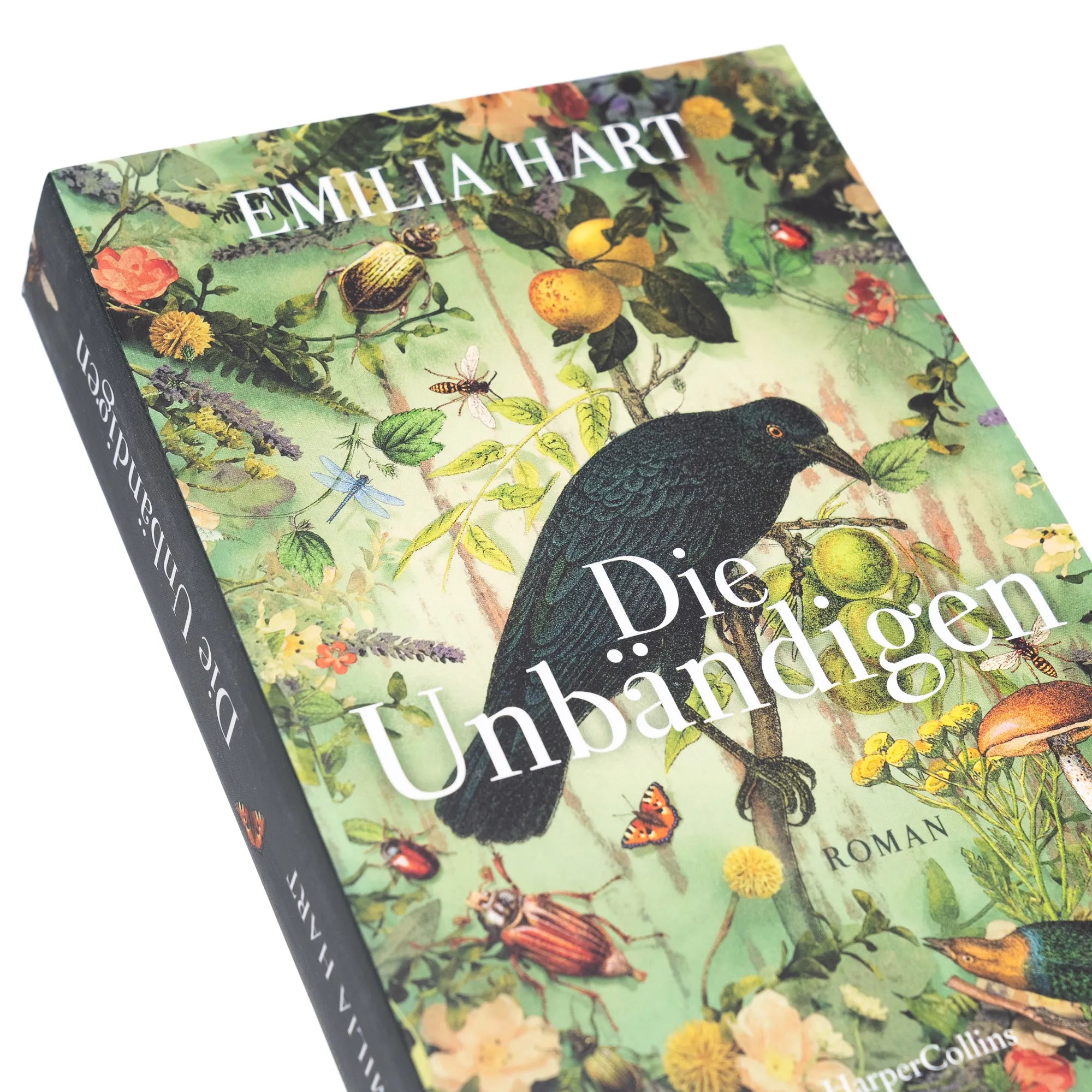 Detailansicht: Die Unbändigen (Taschenbuch)