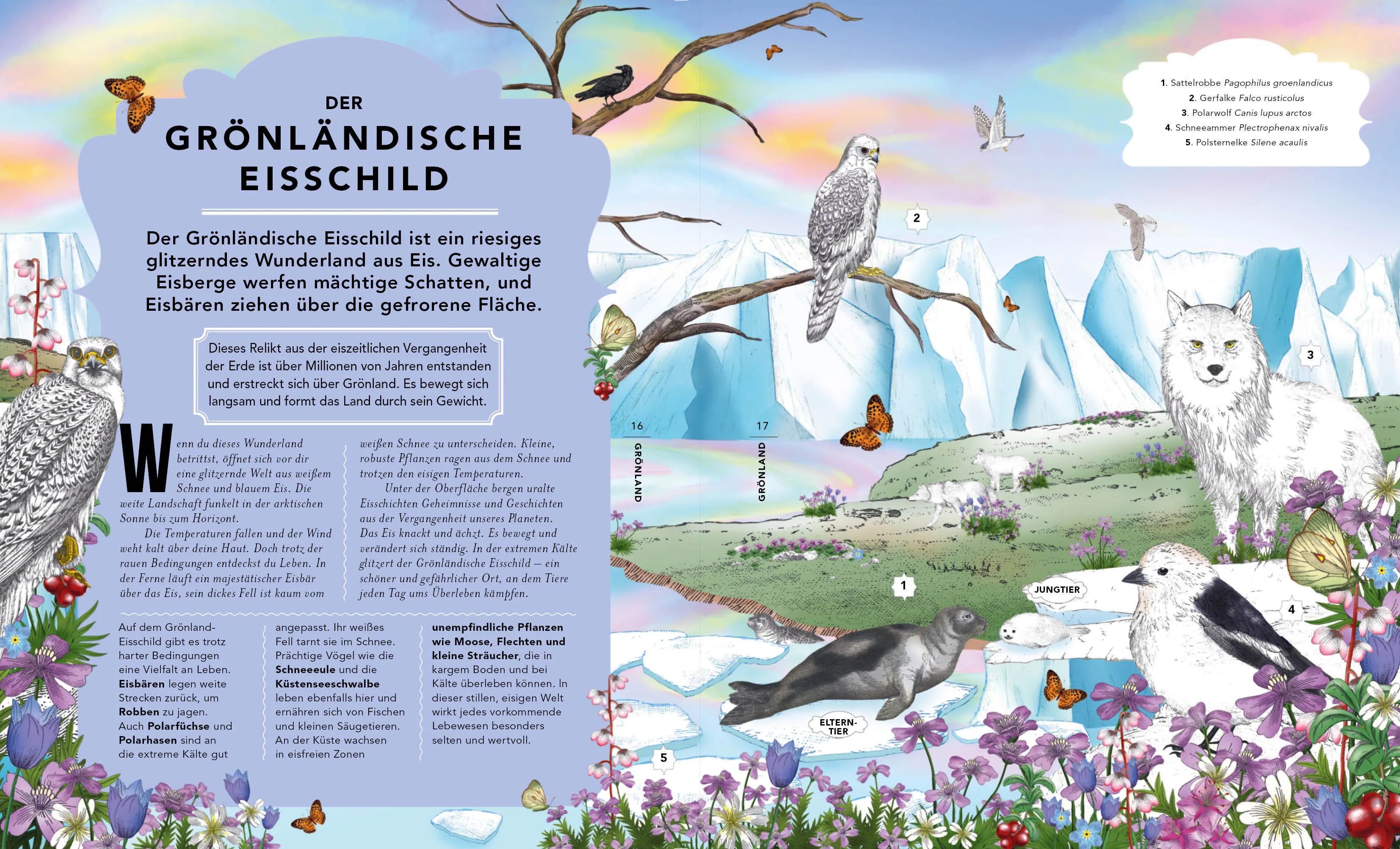 Detailansicht: Die unglaubliche Safari (Hardcover)