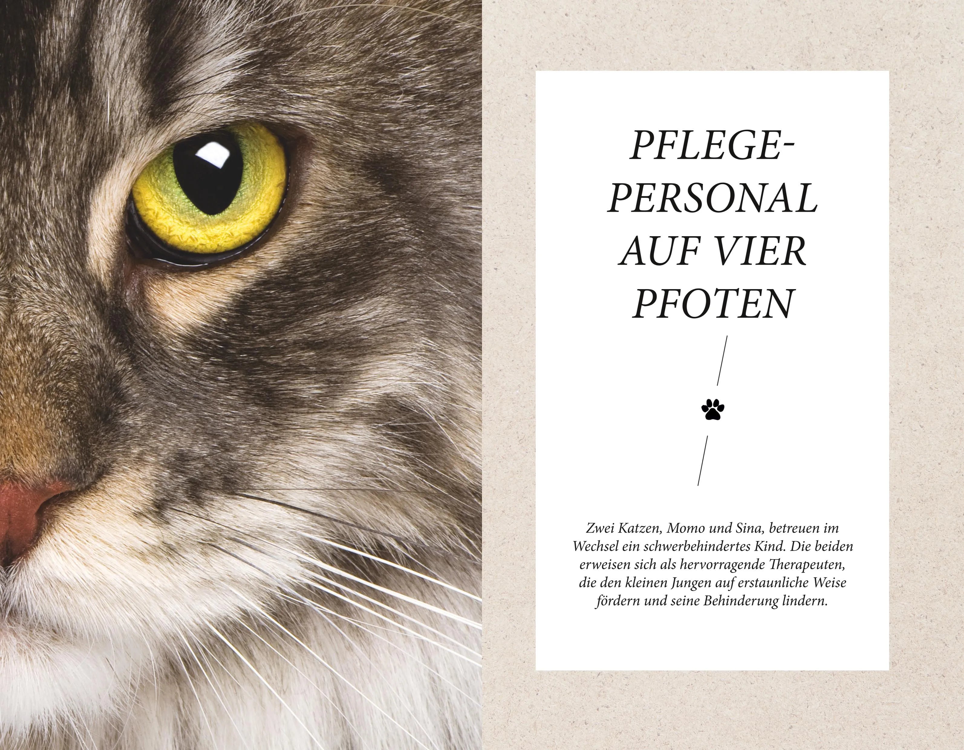 Gabriele Linke-Grün - Die unglaublichen Fähigkeiten der Katze