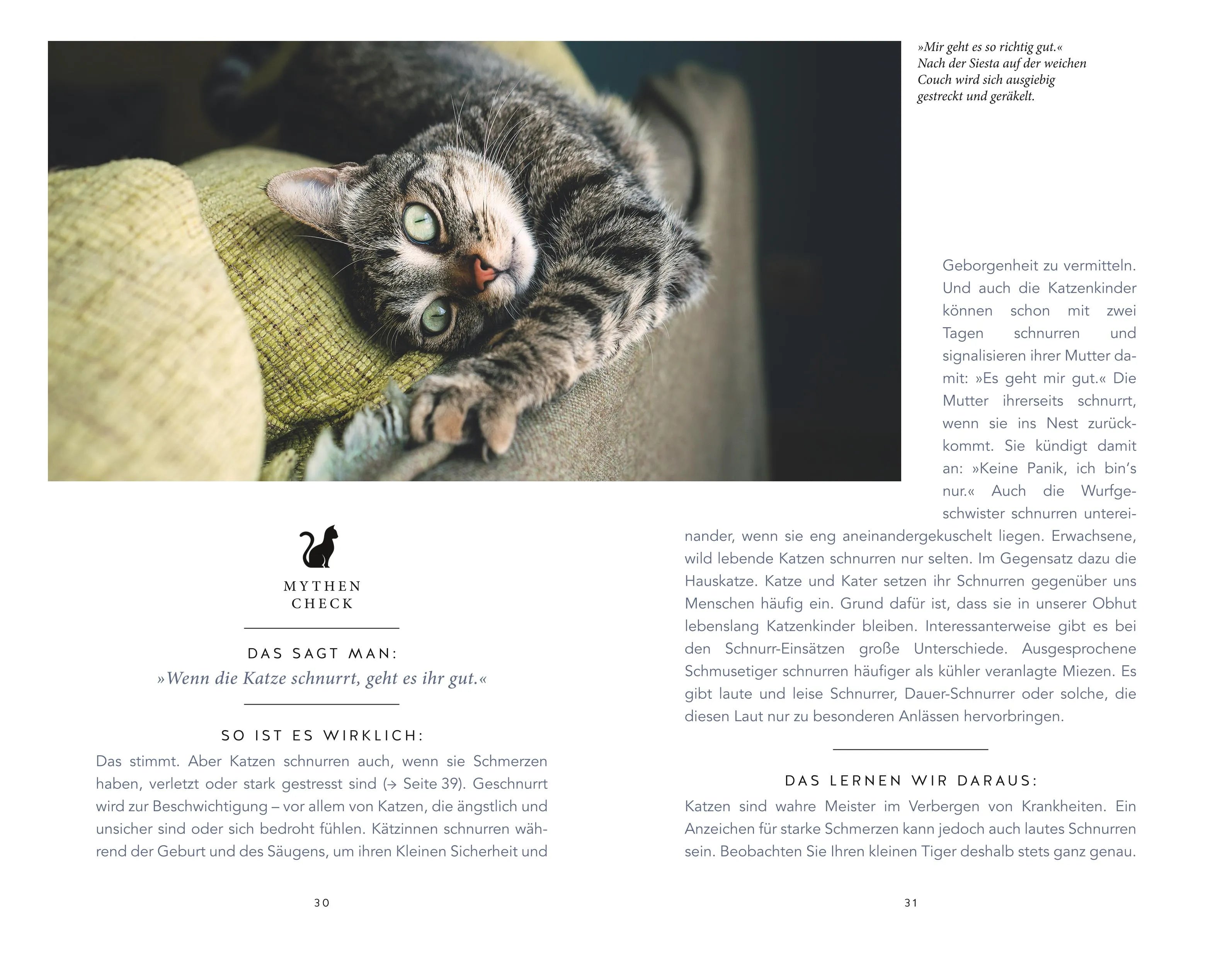 Abbildung von 'Die unglaublichen Fähigkeiten der Katze'