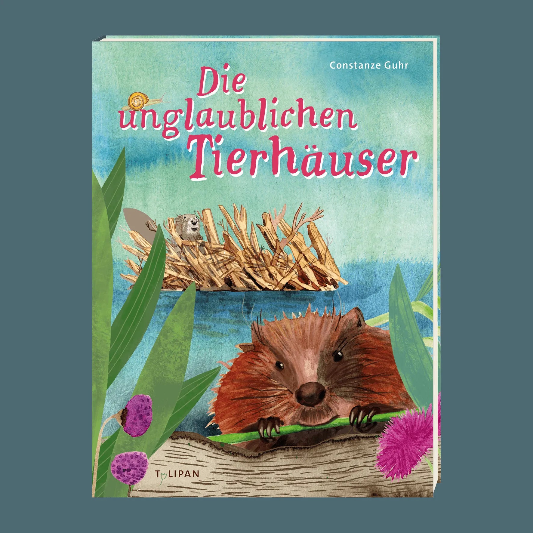 Detailansicht: Die unglaublichen Tierhäuser (Hardcover)