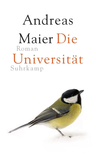 Die Universität − Roman