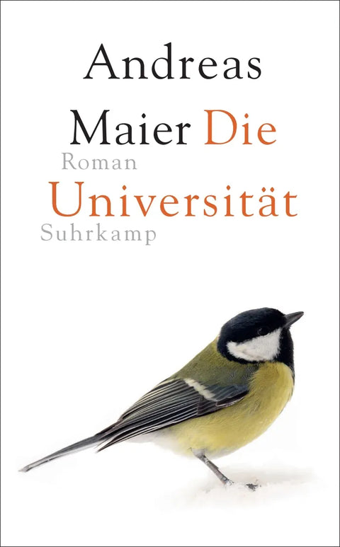 Die Universität − Roman