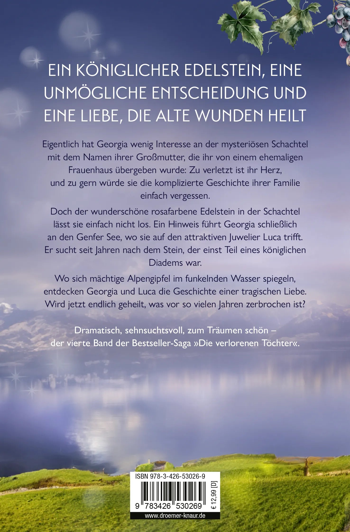 Buchrückseite von 'Die verborgene Tochter' mit Klappentext - Taschenbuch