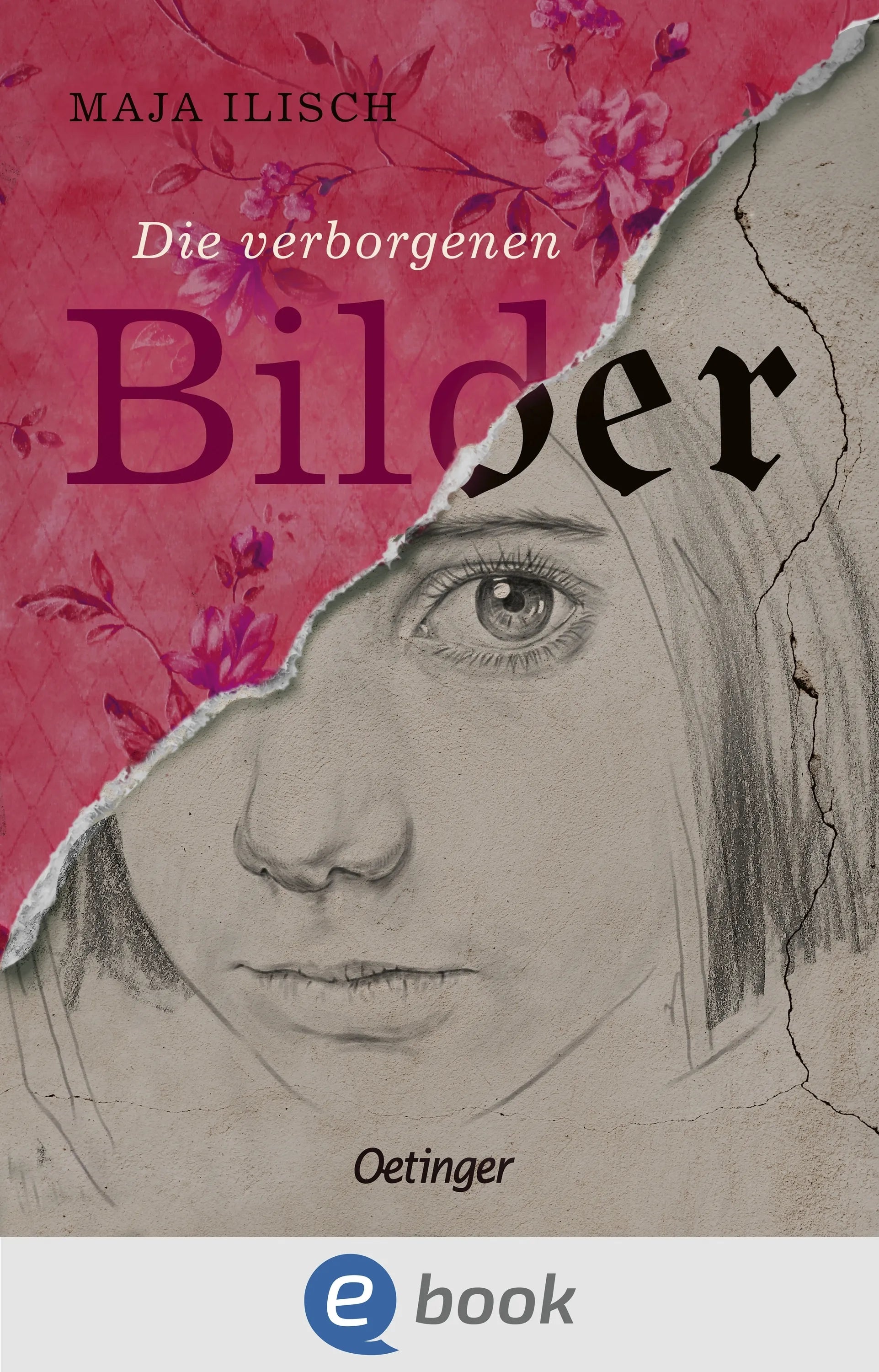 Cover: Die verborgenen Bilder (E-Book) von Maja Ilisch