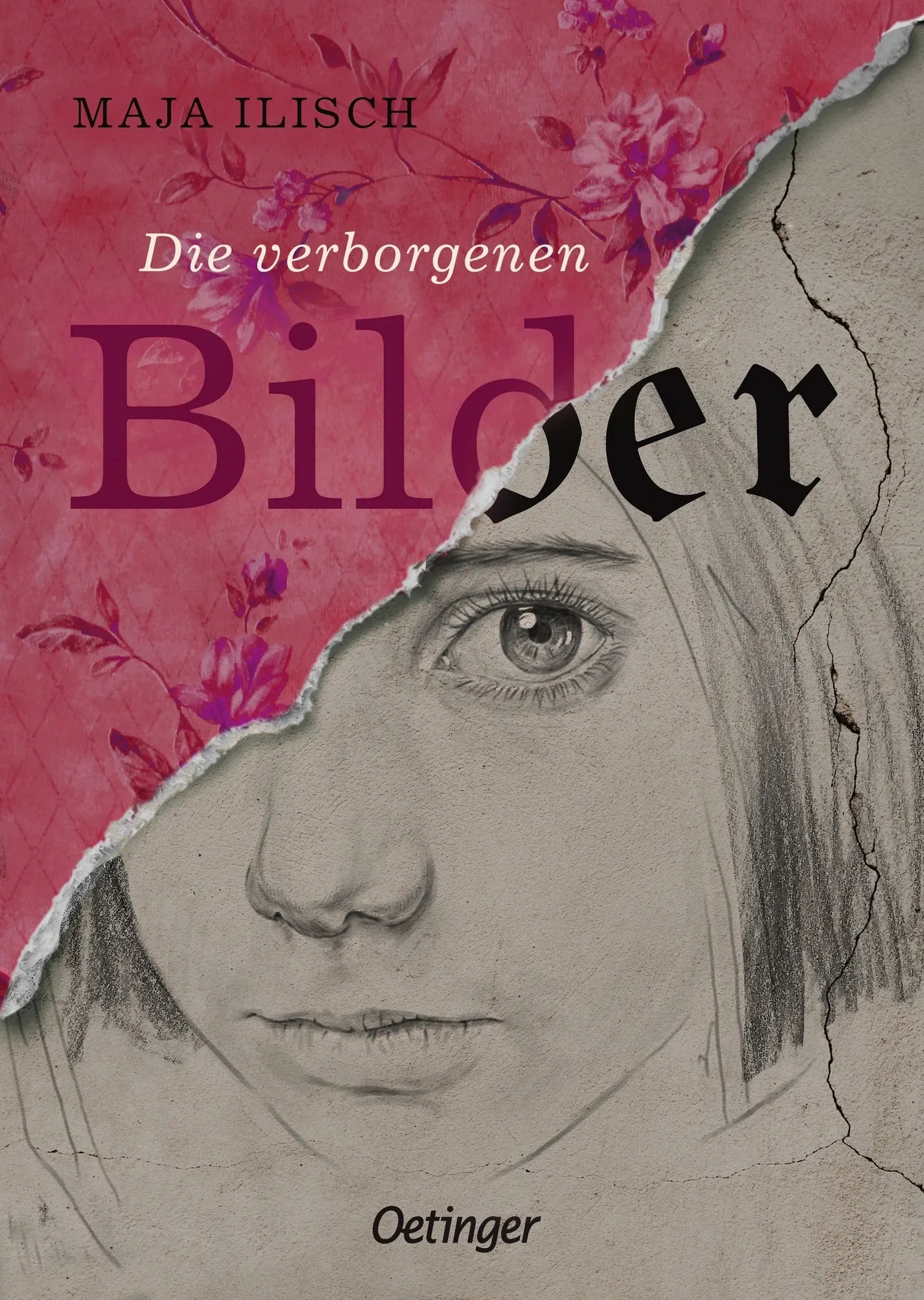 Buchcover von 'Die verborgenen Bilder' - Gebundene Ausgabe von Maja Ilisch