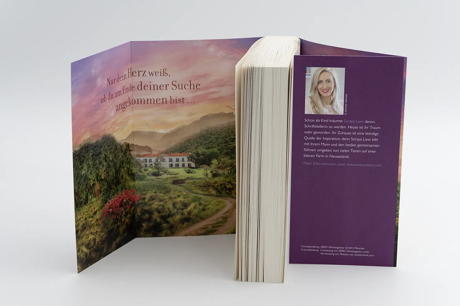 Detailansicht: Die verlassene Tochter (Taschenbuch)