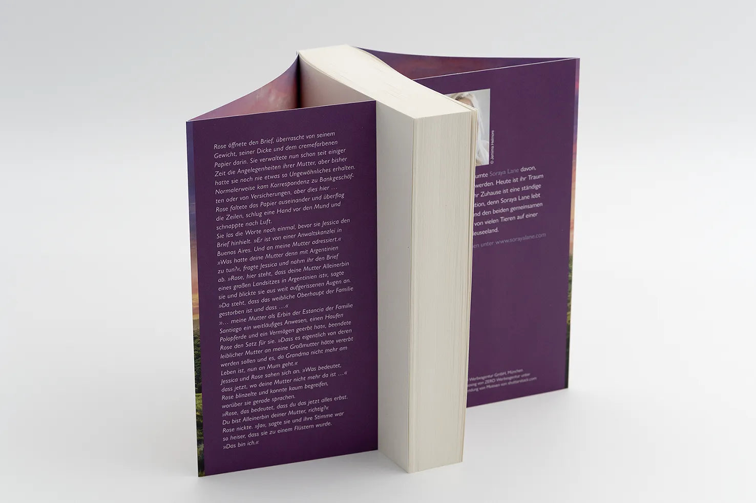 Detailansicht: Die verlassene Tochter (Taschenbuch)