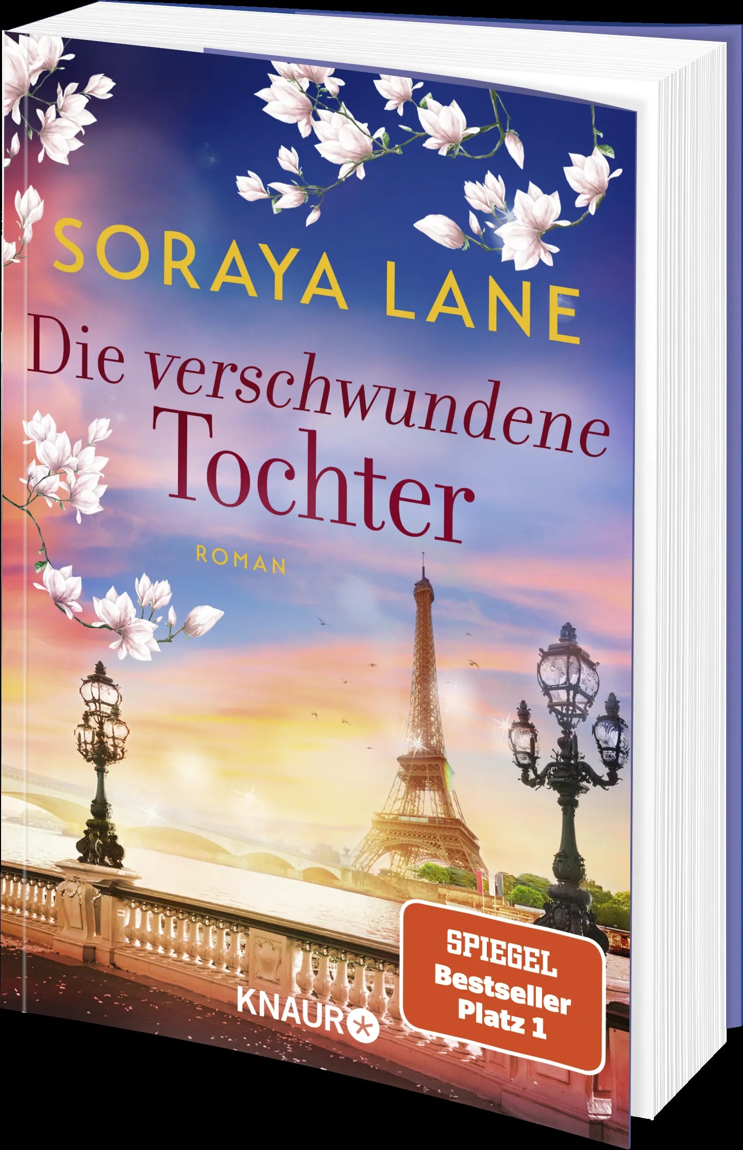 Detailansicht: Die verschwundene Tochter (Taschenbuch)
