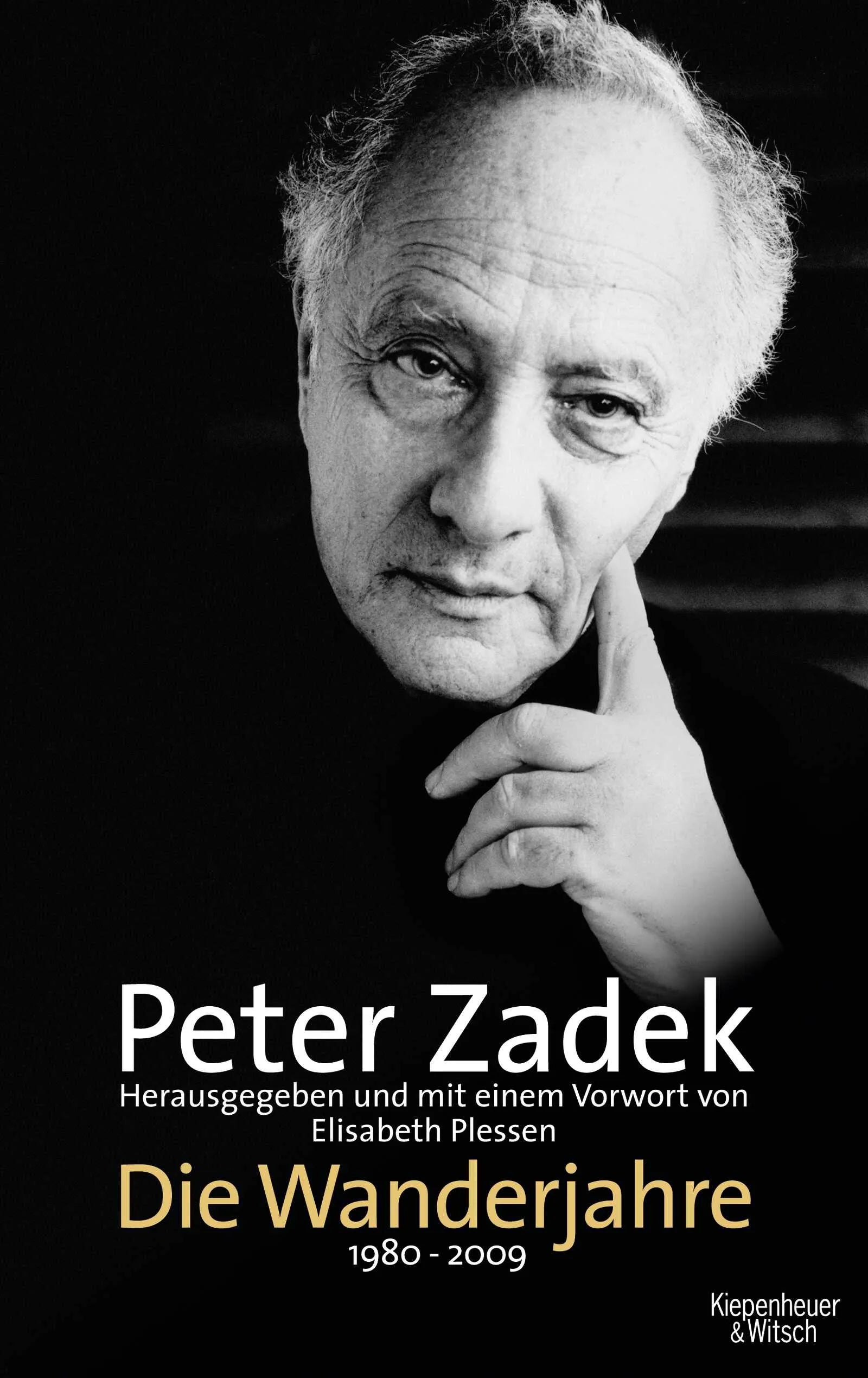 Buchcover von 'Die Wanderjahre' - Gebundene Ausgabe von Peter Zadek