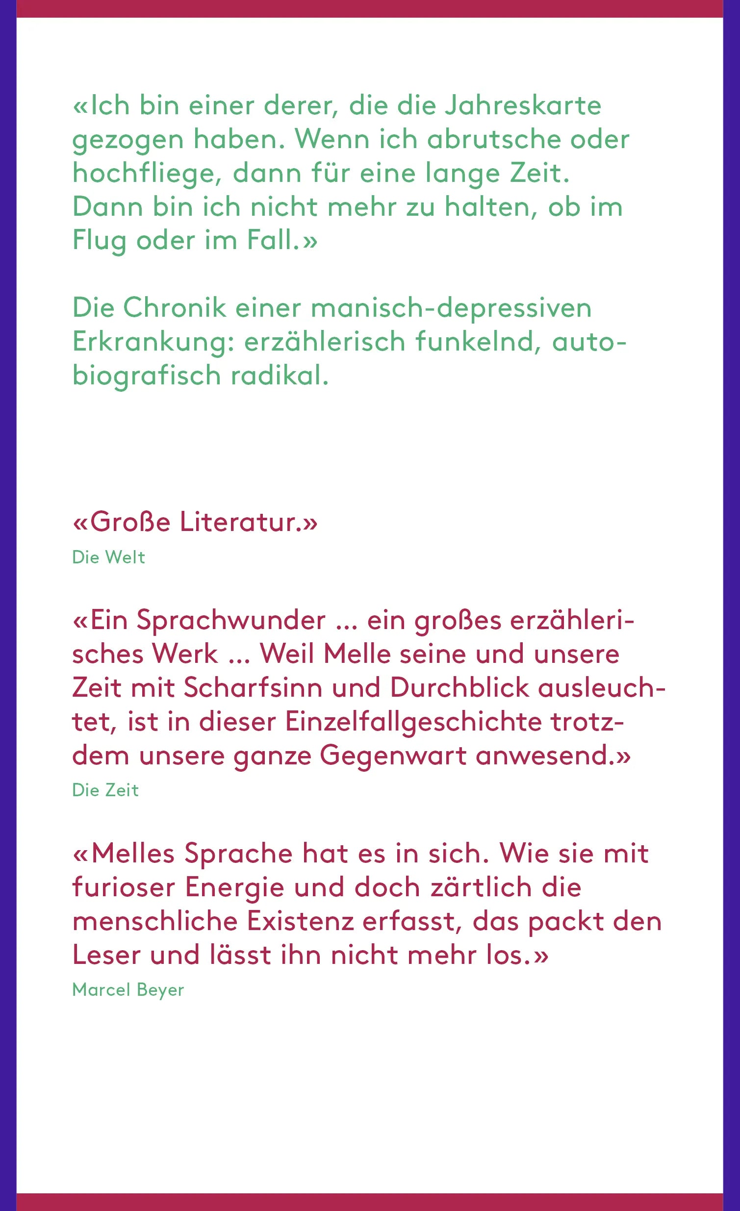 Buchrückseite von 'Die Welt im Rücken' mit Klappentext - Gebundene Ausgabe
