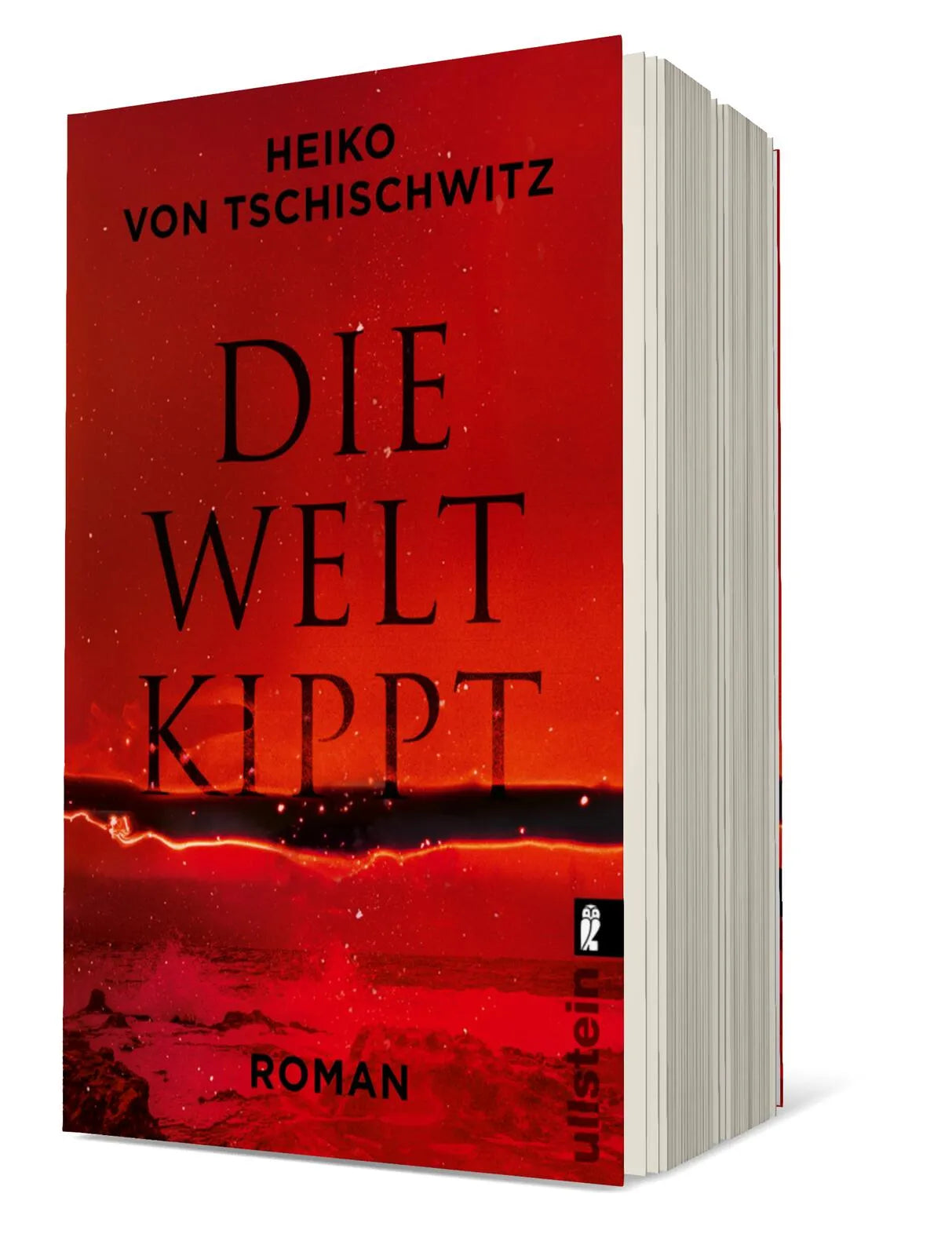 Produktansicht: Die Welt kippt (Taschenbuch)
