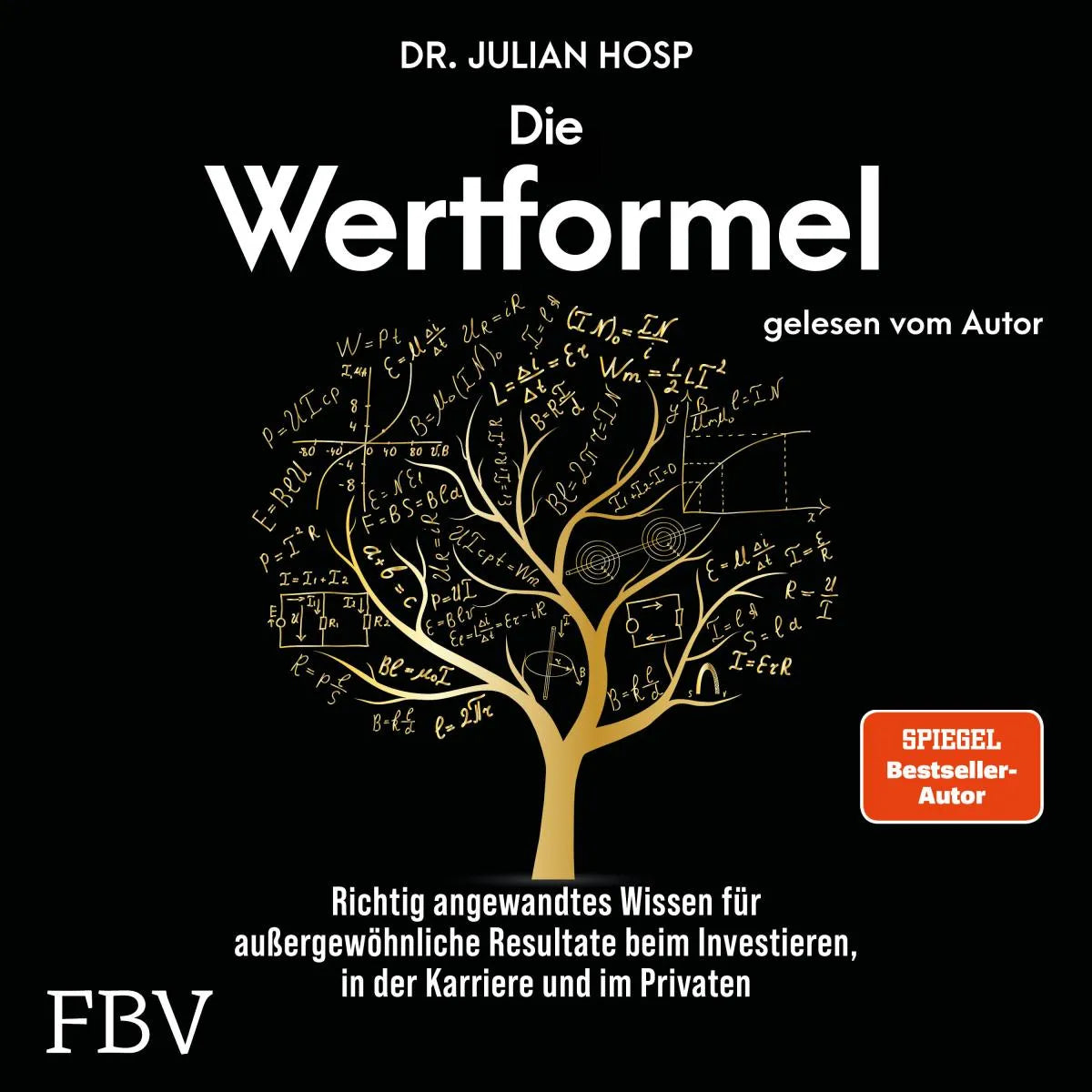 Cover: Die Wertformel (Hörbuch Download) von Julian Hosp