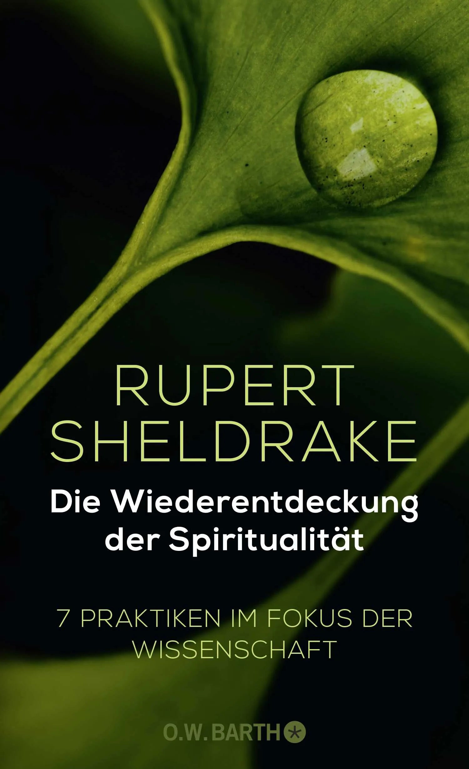 Buchcover von 'Die Wiederentdeckung der Spiritualität' - Gebundene Ausgabe von Rupert Sheldrake