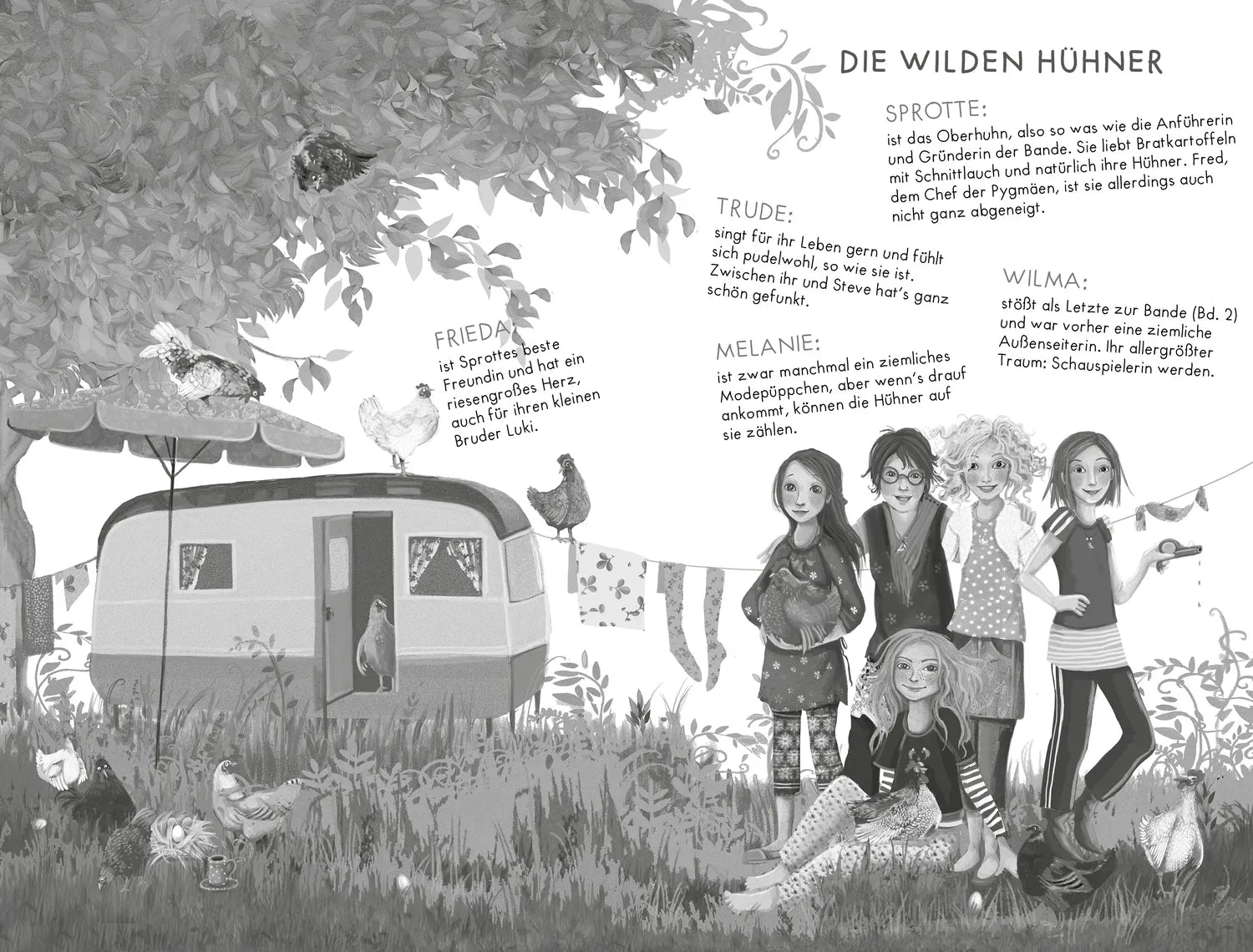 Abbildung von 'Die Wilden Hühner. Band 1-2'