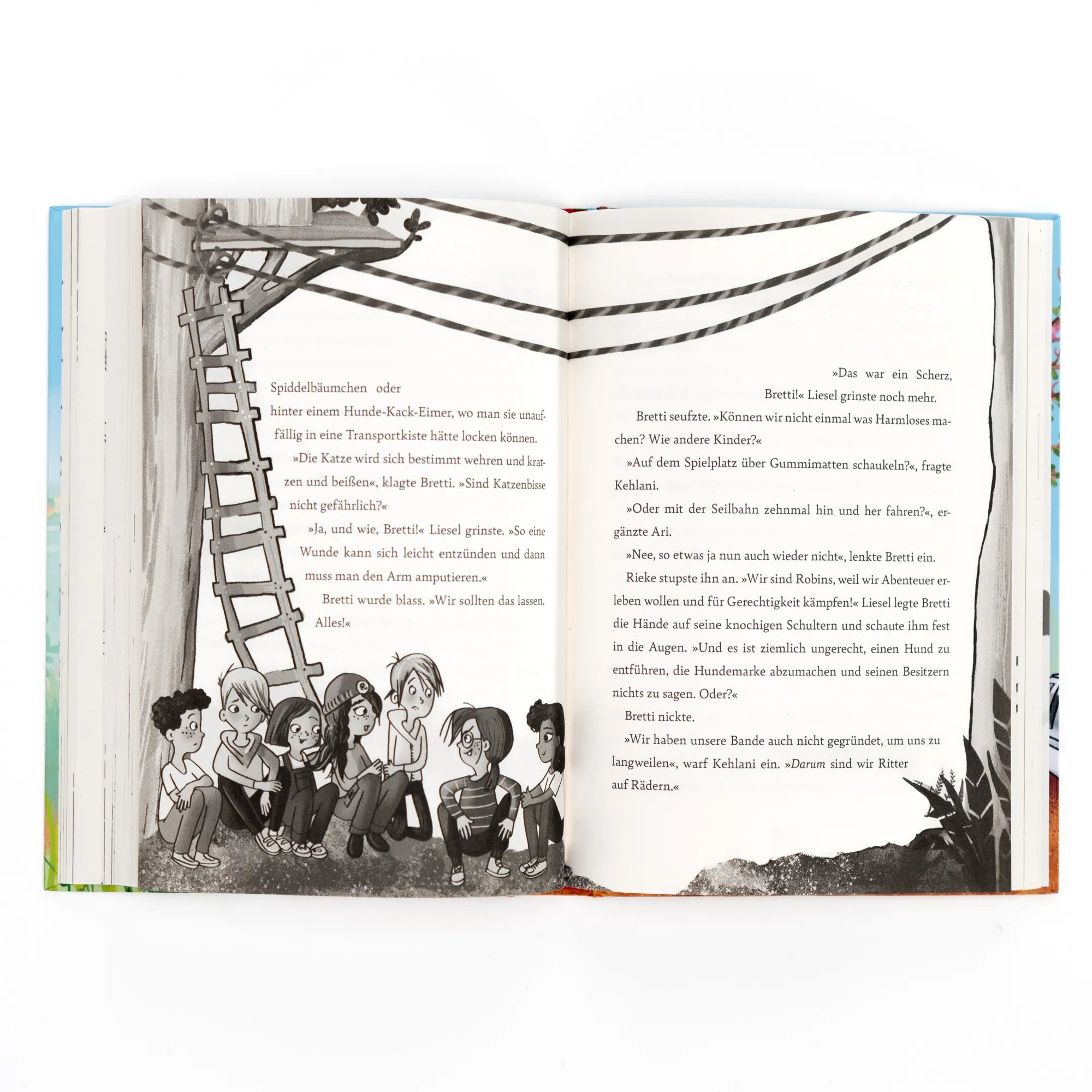 Detailansicht: Die wilden Robbins. Spurlos verschwunden! (Hardcover)