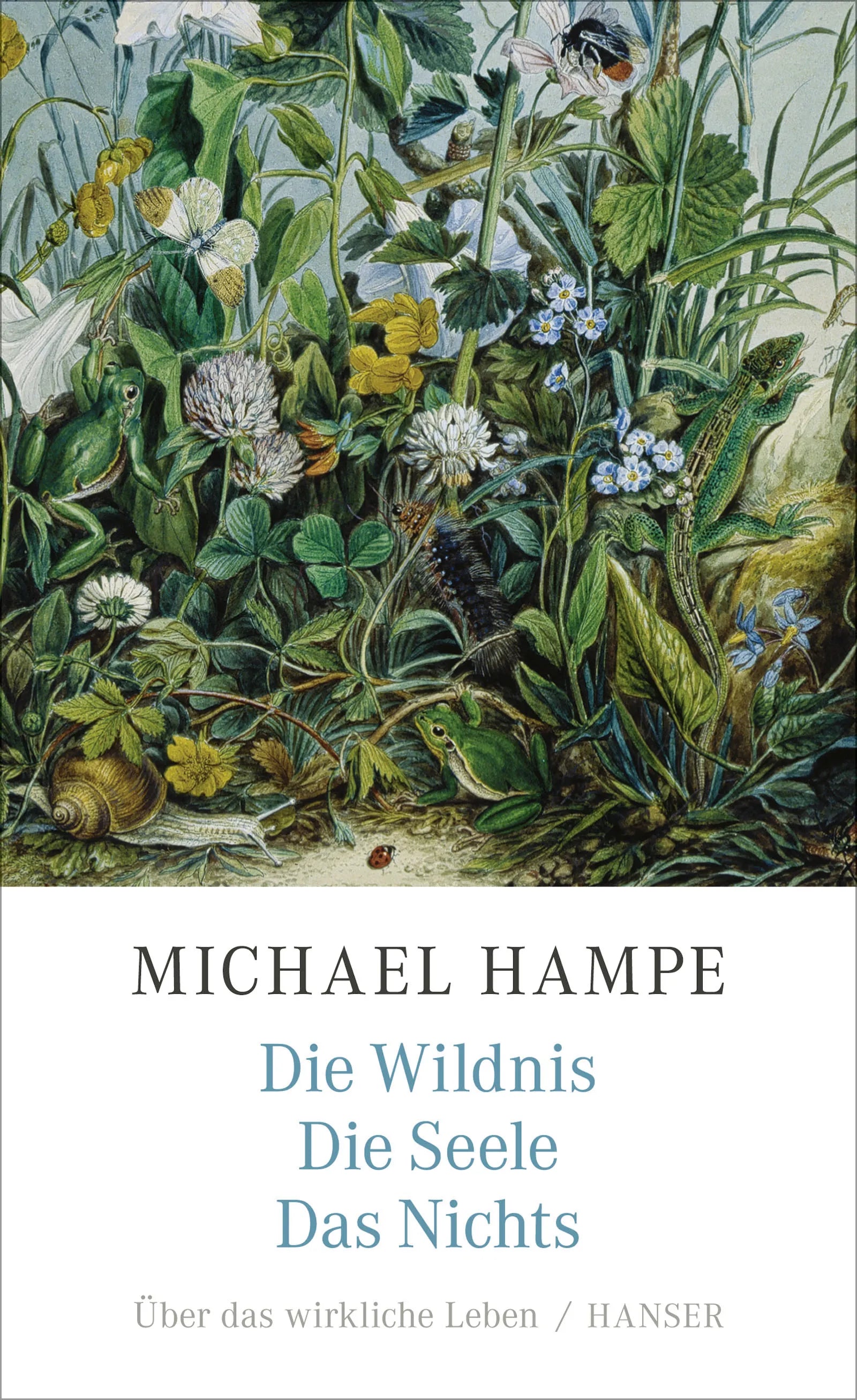 Buchcover von 'Die Wildnis, die Seele, das Nichts' - Gebundene Ausgabe von Michael Hampe