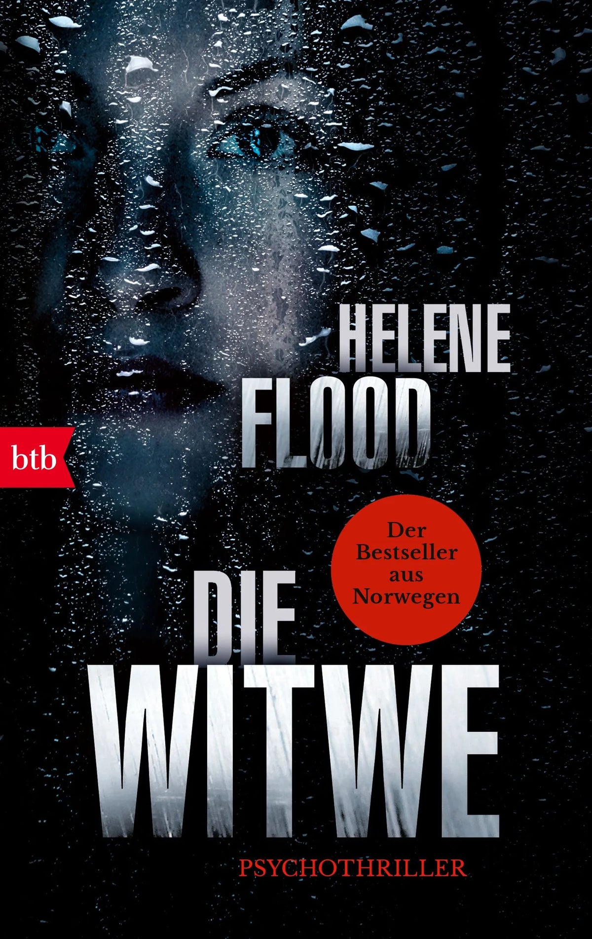 Cover: Die Witwe (Taschenbuch) von Helene Flood