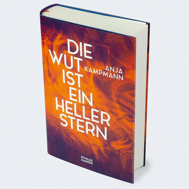 Produktansicht: Die Wut ist ein heller Stern (Gebundene Ausgabe)