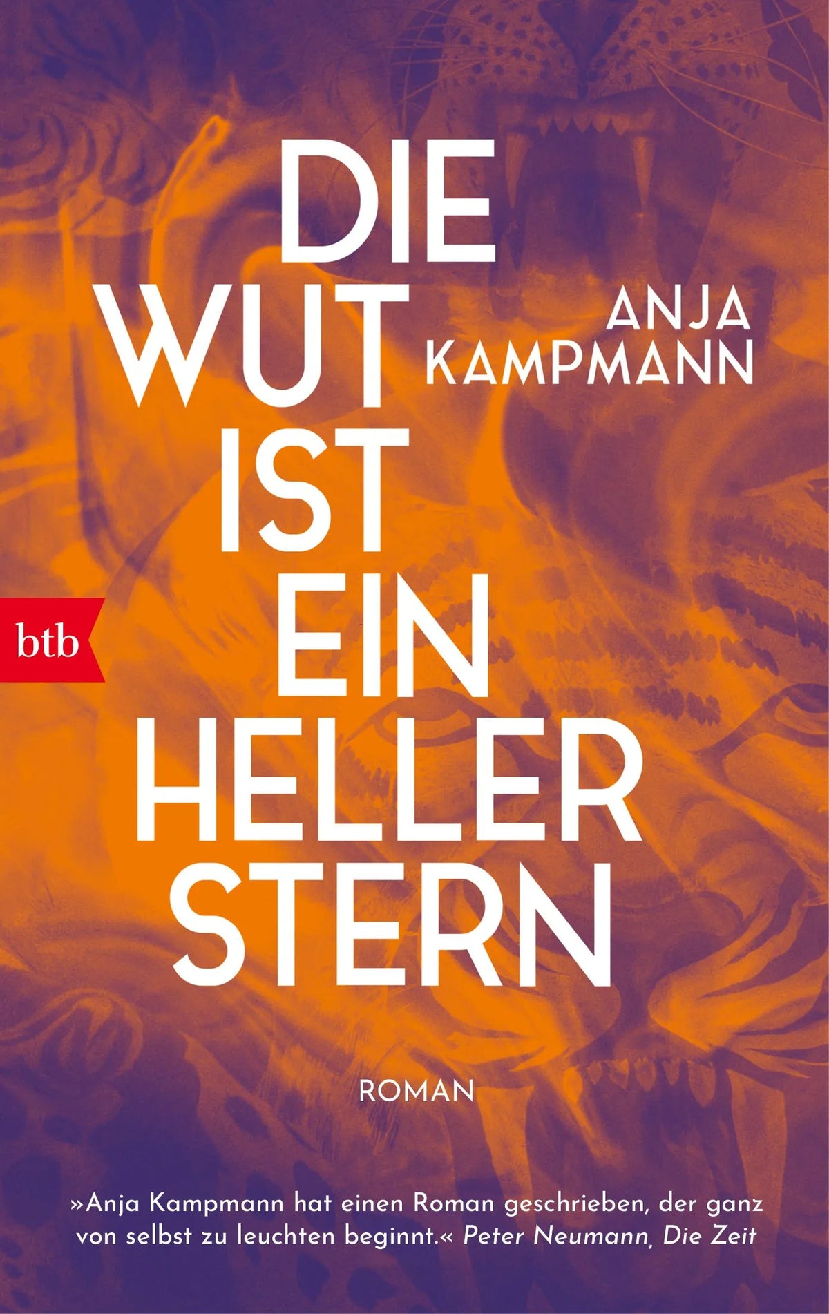 Cover: Die Wut ist ein heller Stern (Taschenbuch) von Anja Kampmann