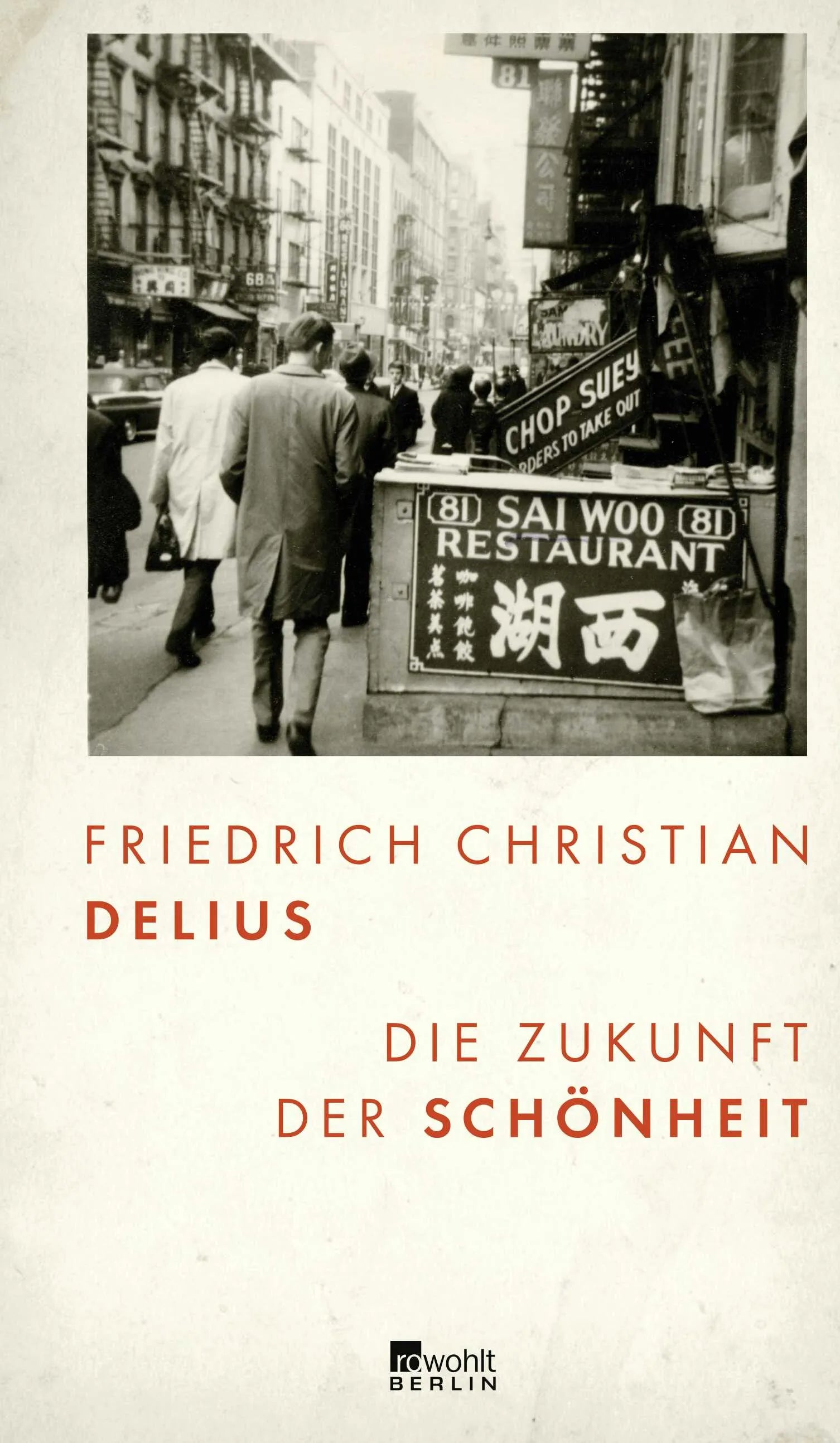 Buchcover von 'Die Zukunft der Schönheit' - Gebundene Ausgabe von Friedrich Christian Delius