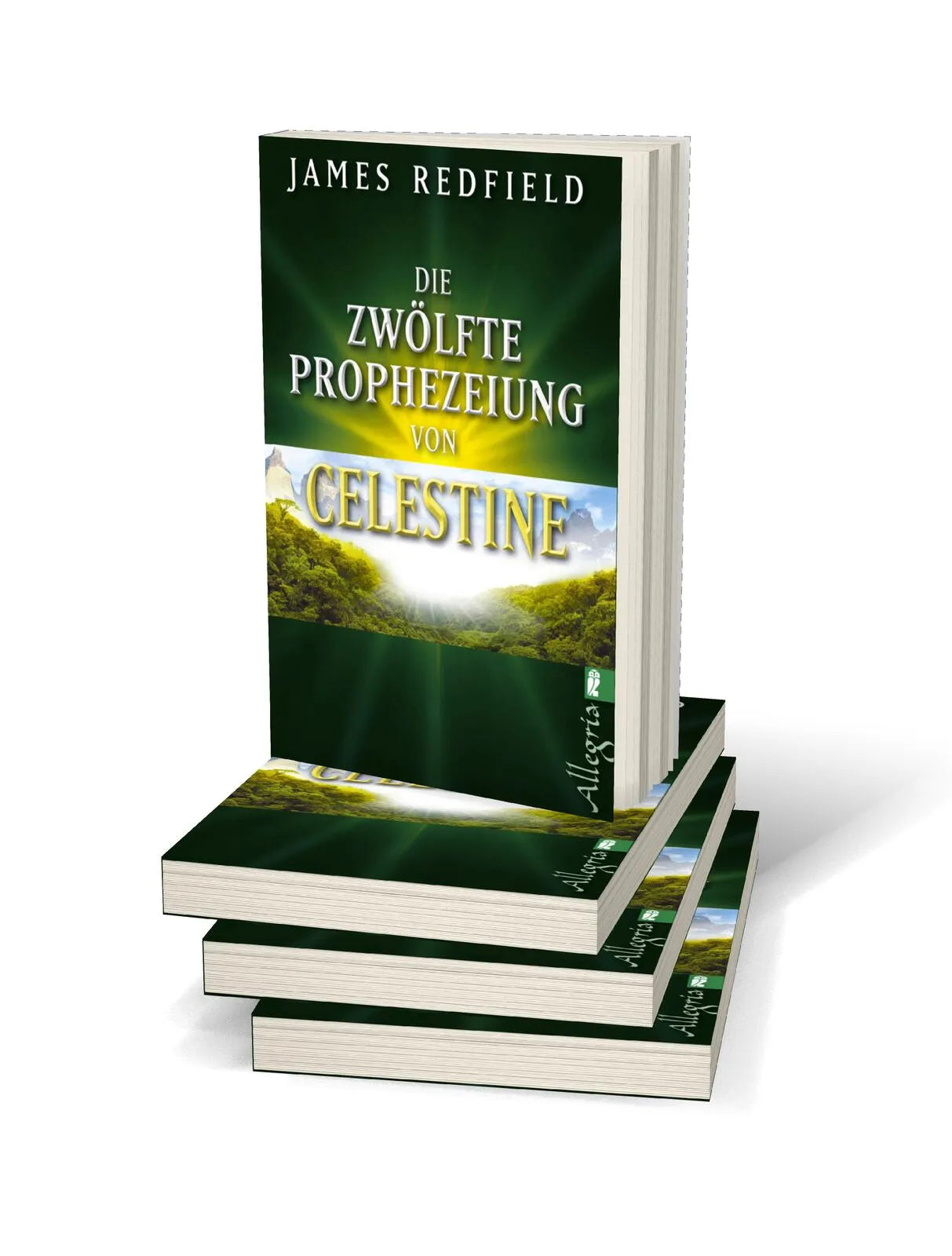Produktansicht: Die zwölfte Prophezeiung von Celestine (Taschenbuch)