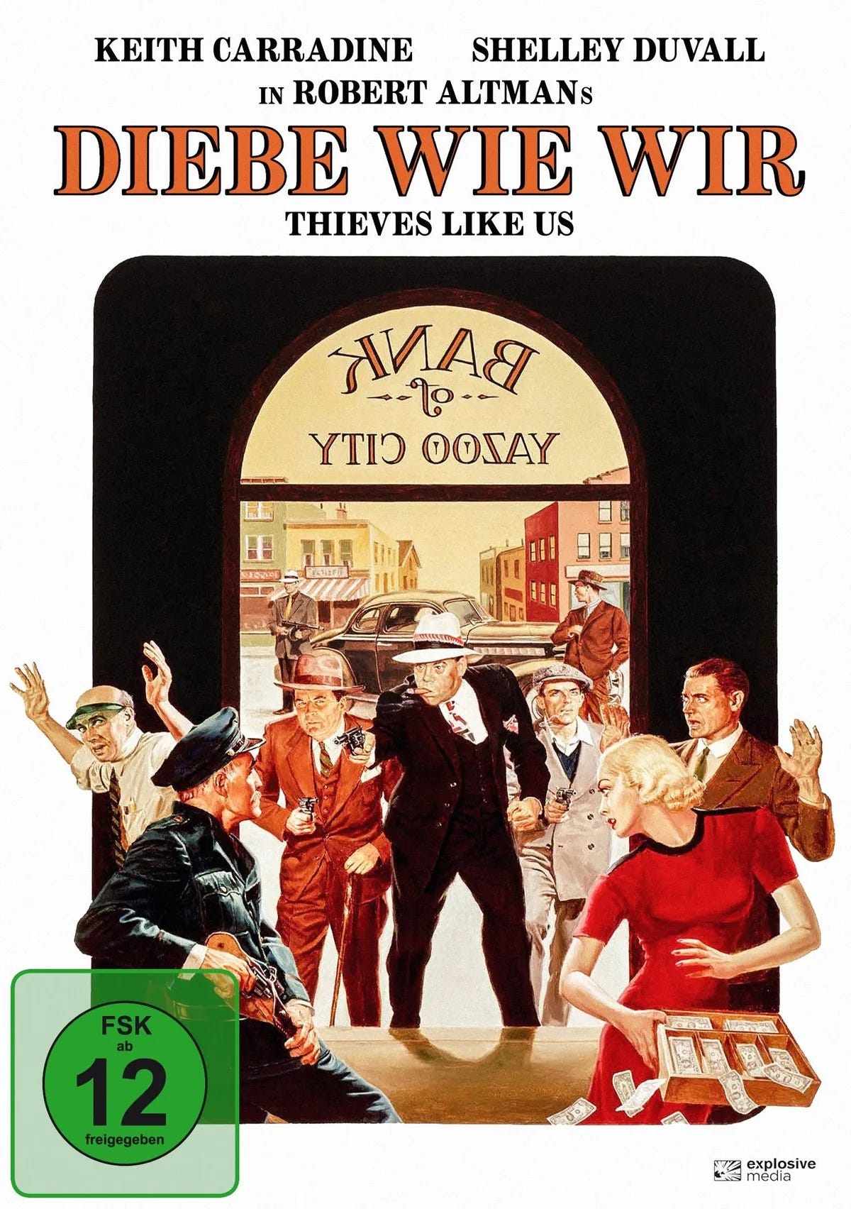 Diebe wie wir - DVD