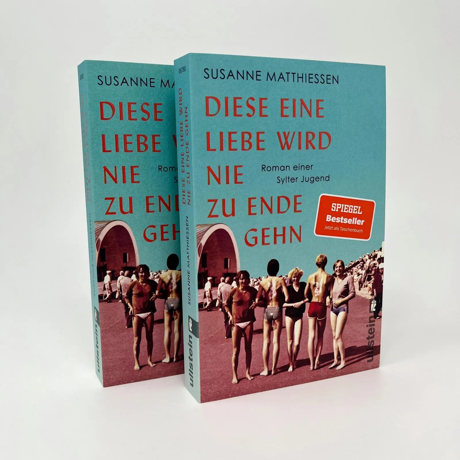 Detailansicht: Diese eine Liebe wird nie zu Ende gehn (Taschenbuch)
