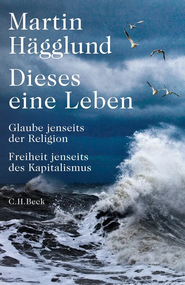 Cover: Dieses eine Leben (E-Book) von Martin Hägglund