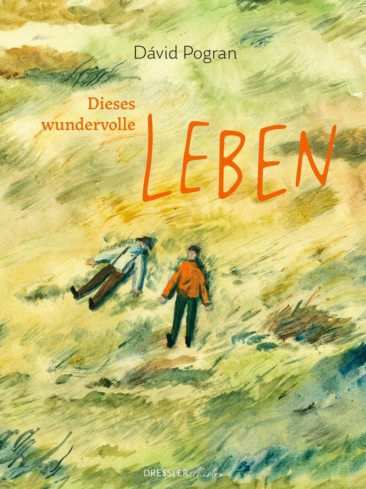 Cover: Dieses wundervolle Leben (Hardcover) von Dávid Pogran
