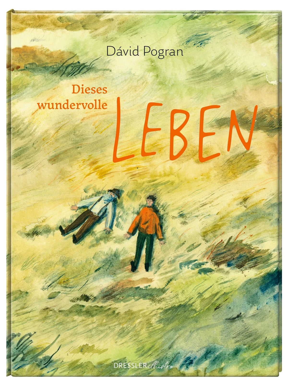 Detailansicht: Dieses wundervolle Leben (Hardcover)